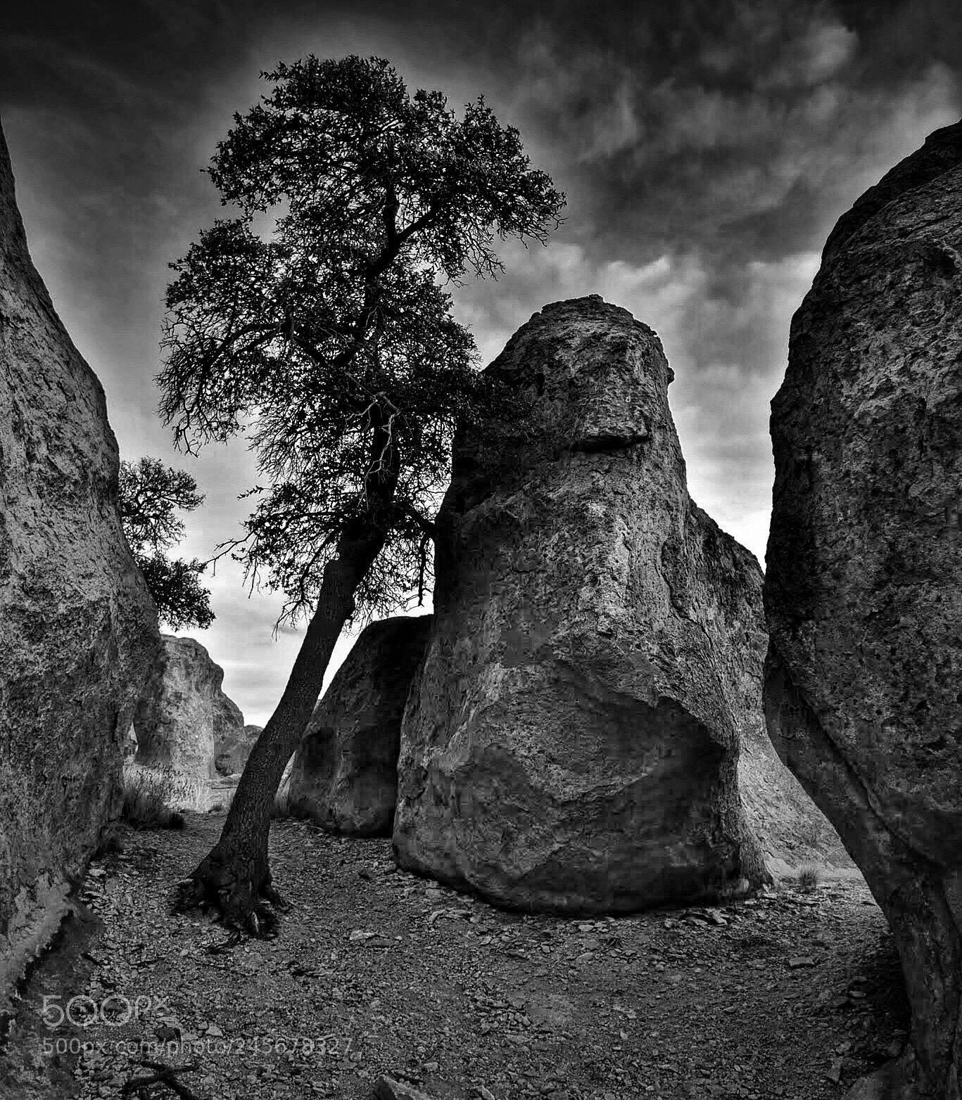 Nikon D810 sample photo. City of rocks, new photography
