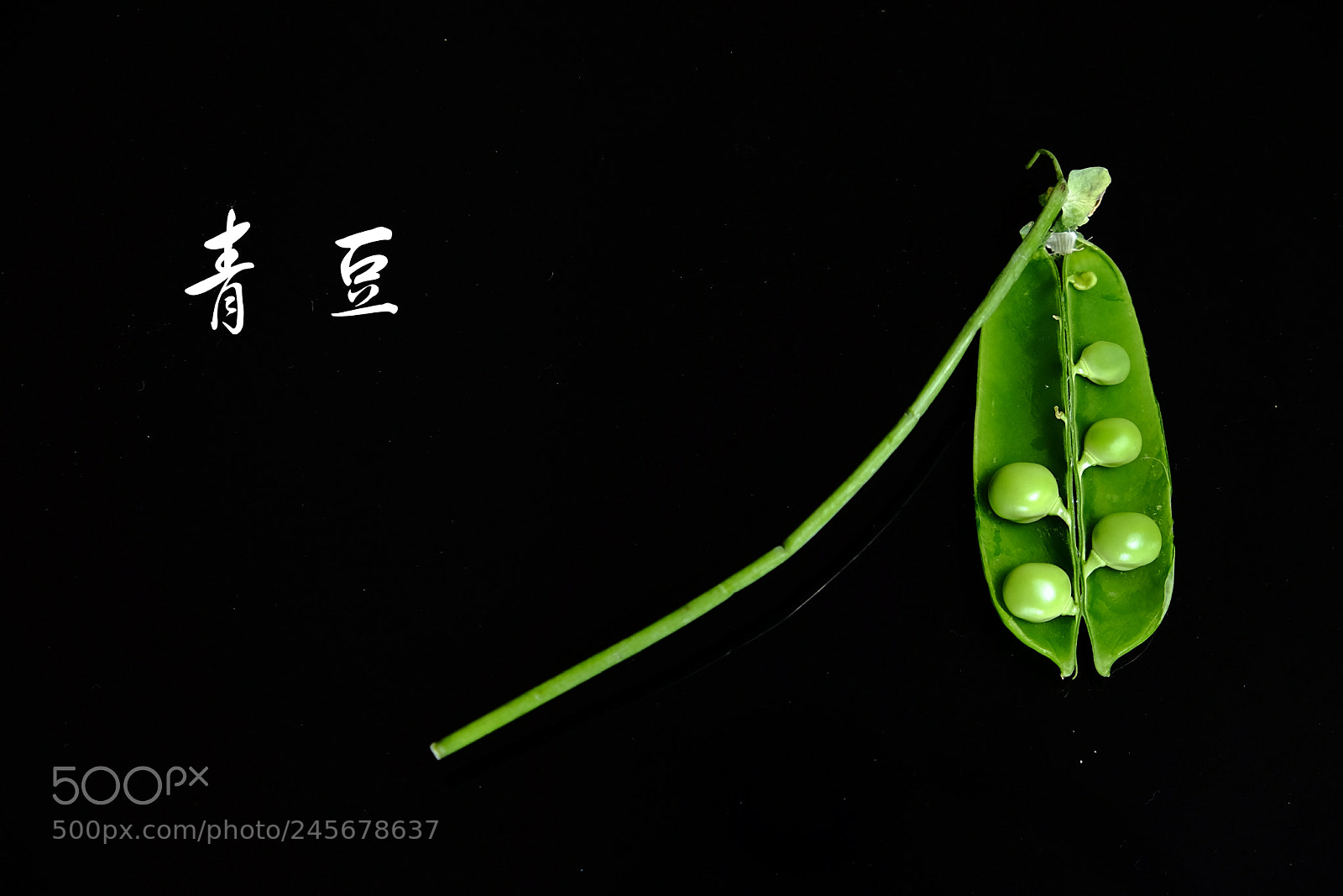 Fujifilm X-T1 sample photo. Mix photography