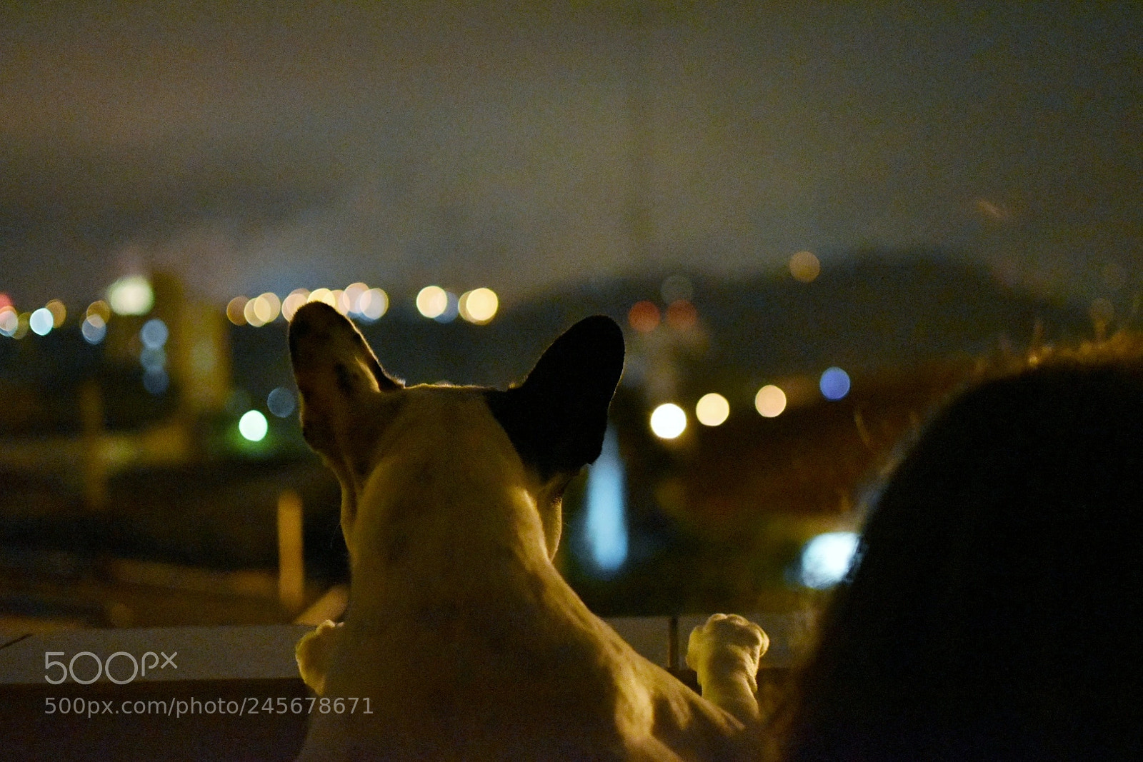 Nikon D5500 sample photo. Untitled photography