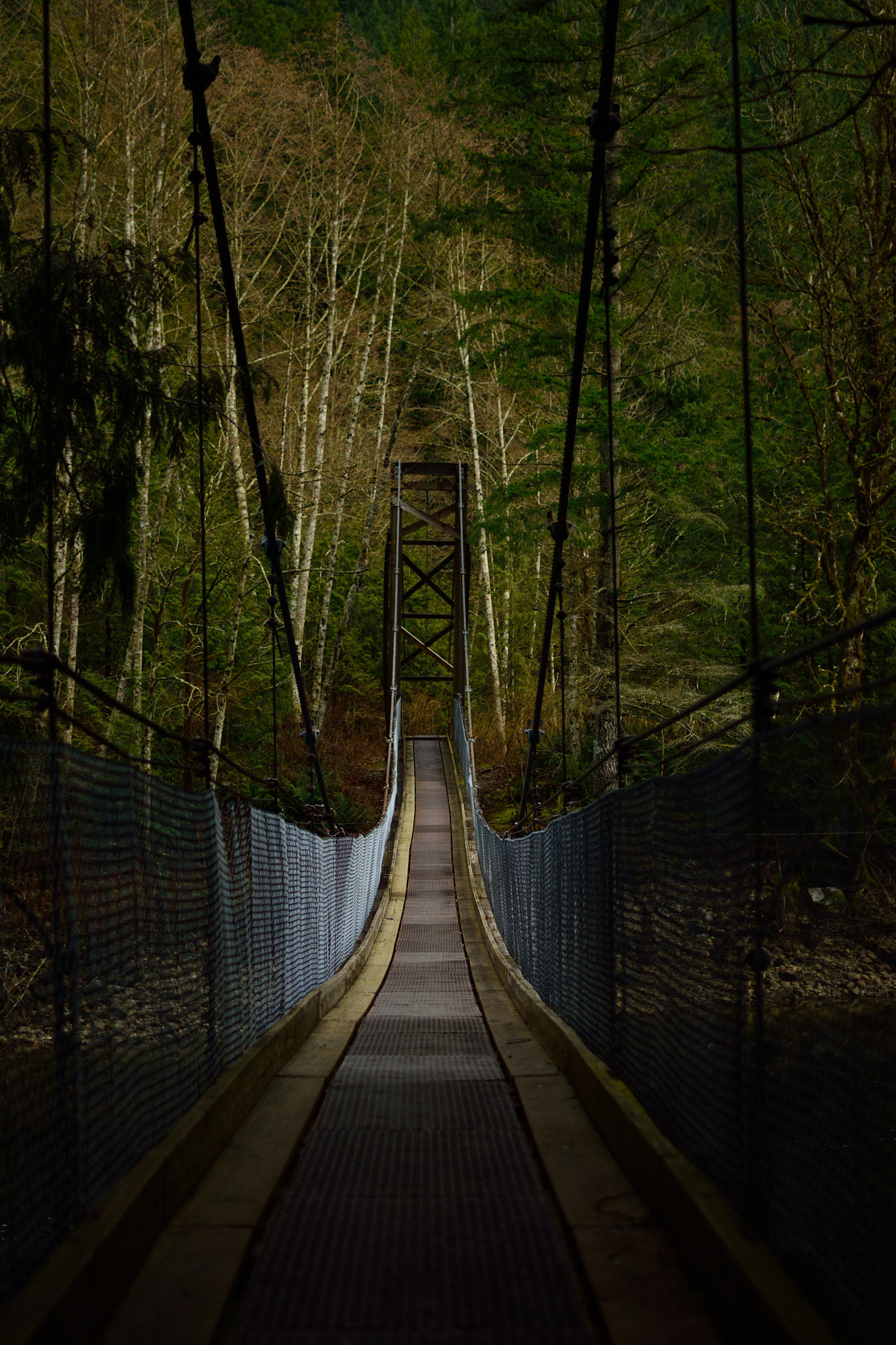 Nikon D3300 + Nikon AF-S DX Nikkor 35mm F1.8G sample photo. Buntzen lake, bc photography