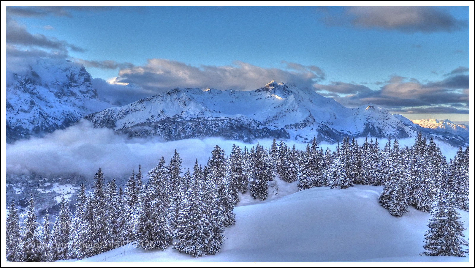 Olympus OM-D E-M1 Mark II sample photo. Kalter morgen photography