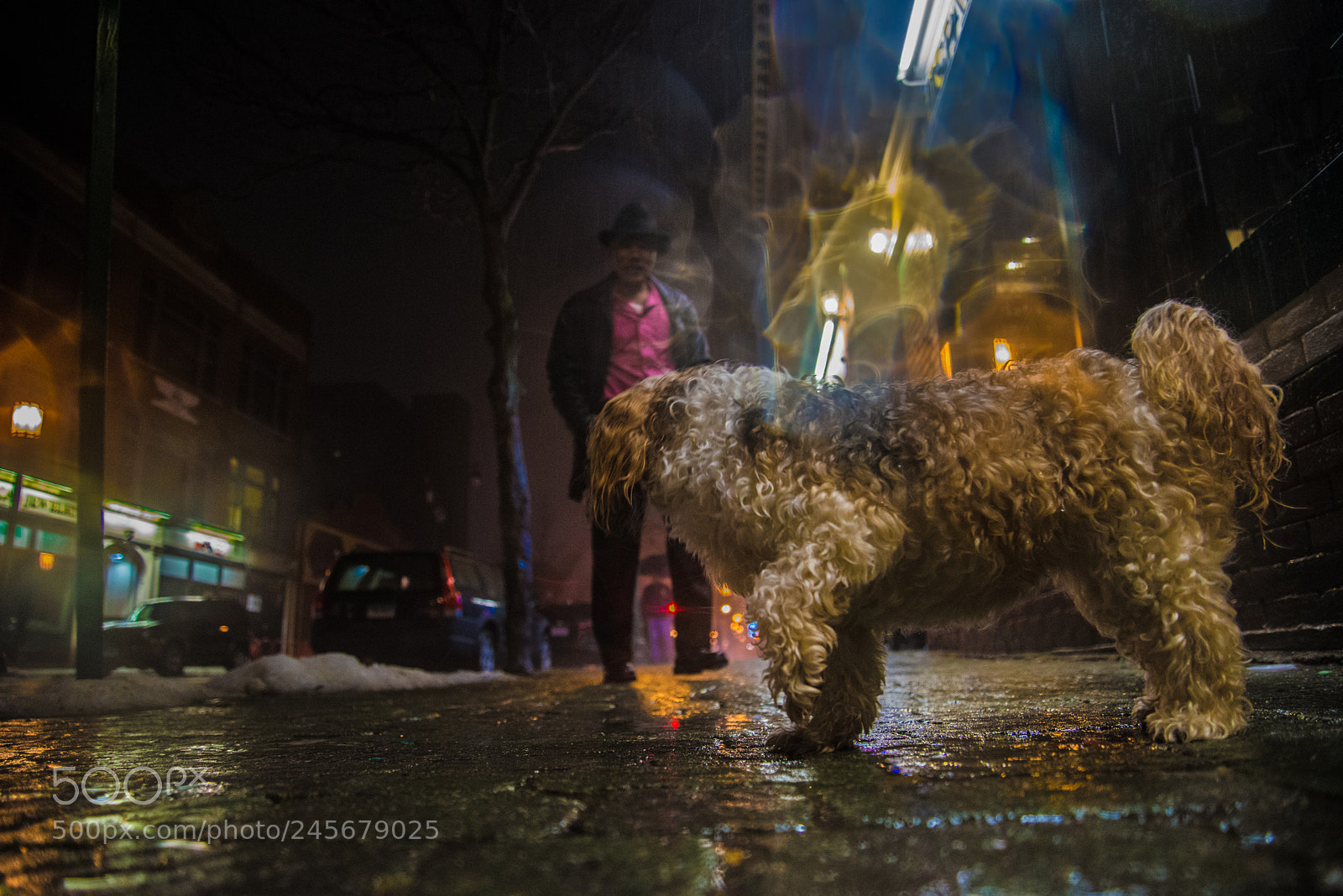 Nikon D800 sample photo. Rainy night hartford city photography
