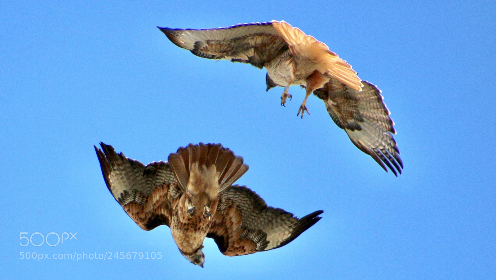 Canon EOS 700D (EOS Rebel T5i / EOS Kiss X7i) sample photo. Ballet in the sky photography