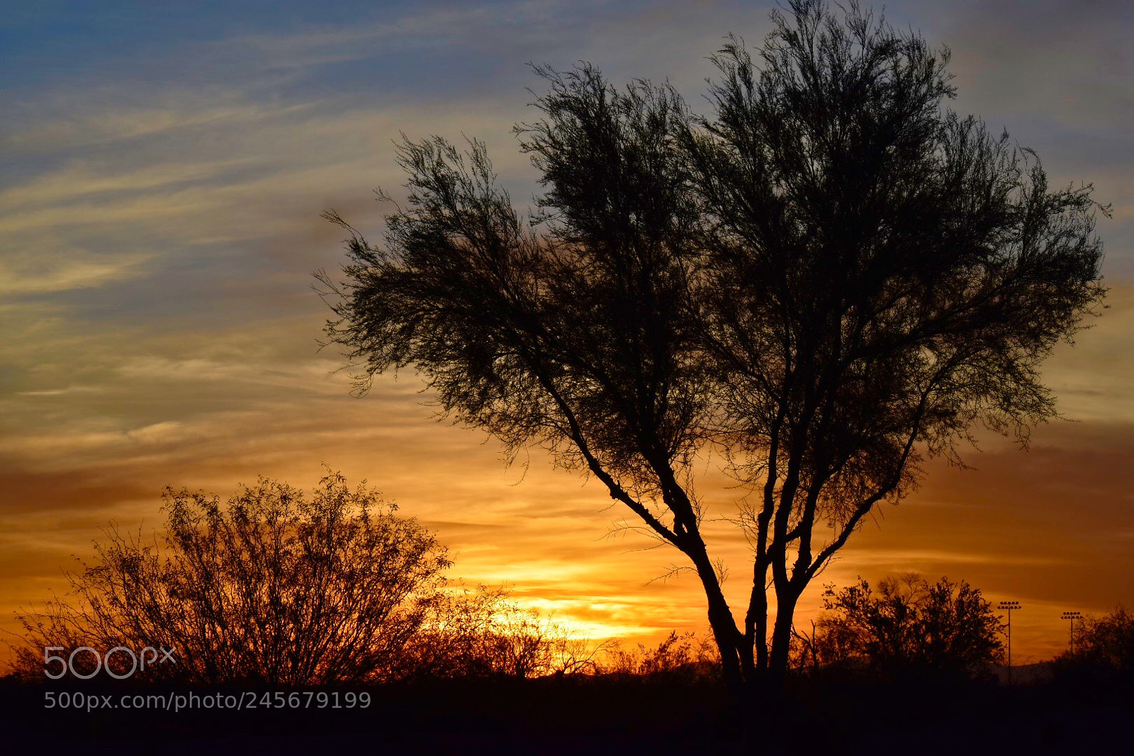 Nikon D3400 sample photo. Sundown photography