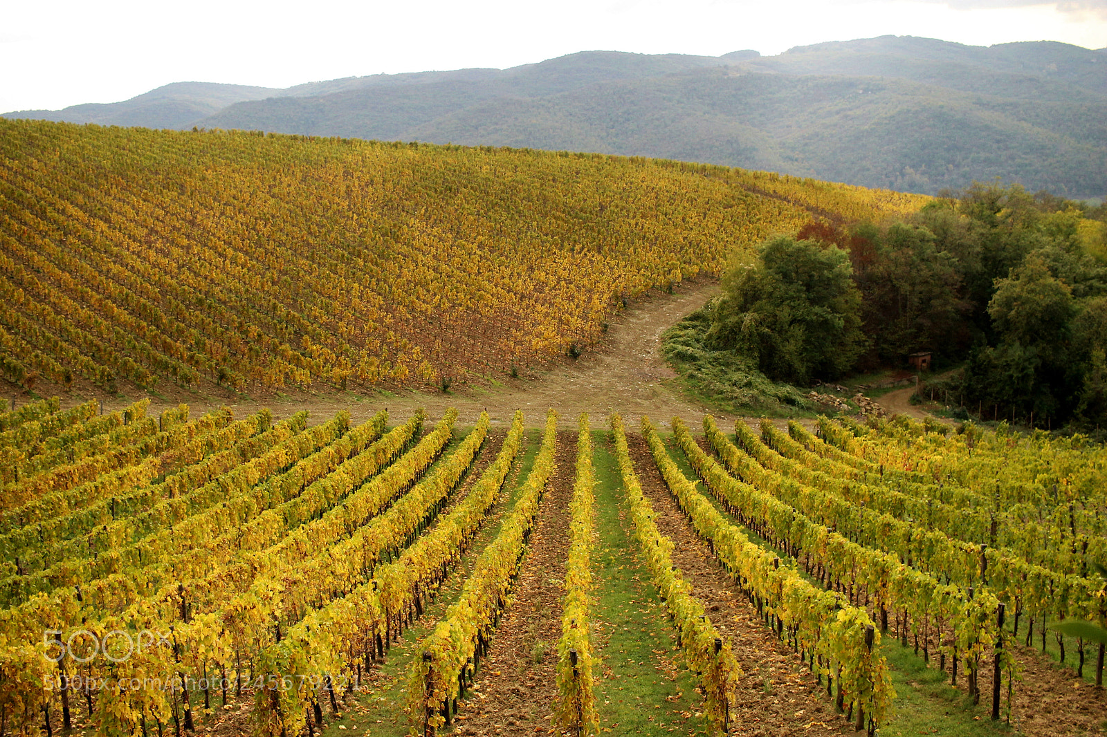 Canon EOS 1100D (EOS Rebel T3 / EOS Kiss X50) sample photo. Chianti region photography