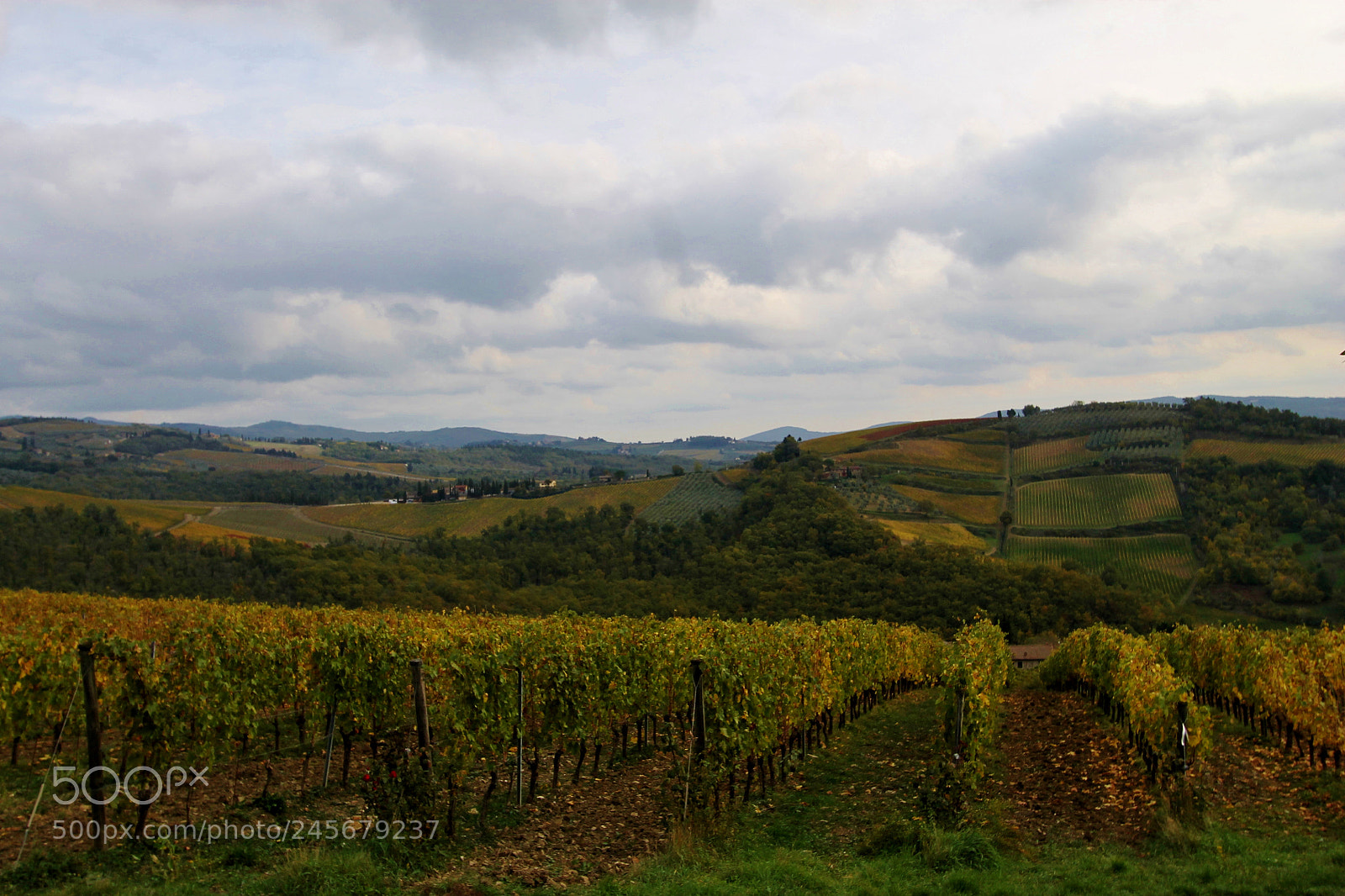 Canon EOS 1100D (EOS Rebel T3 / EOS Kiss X50) sample photo. Vino chianti italy photography