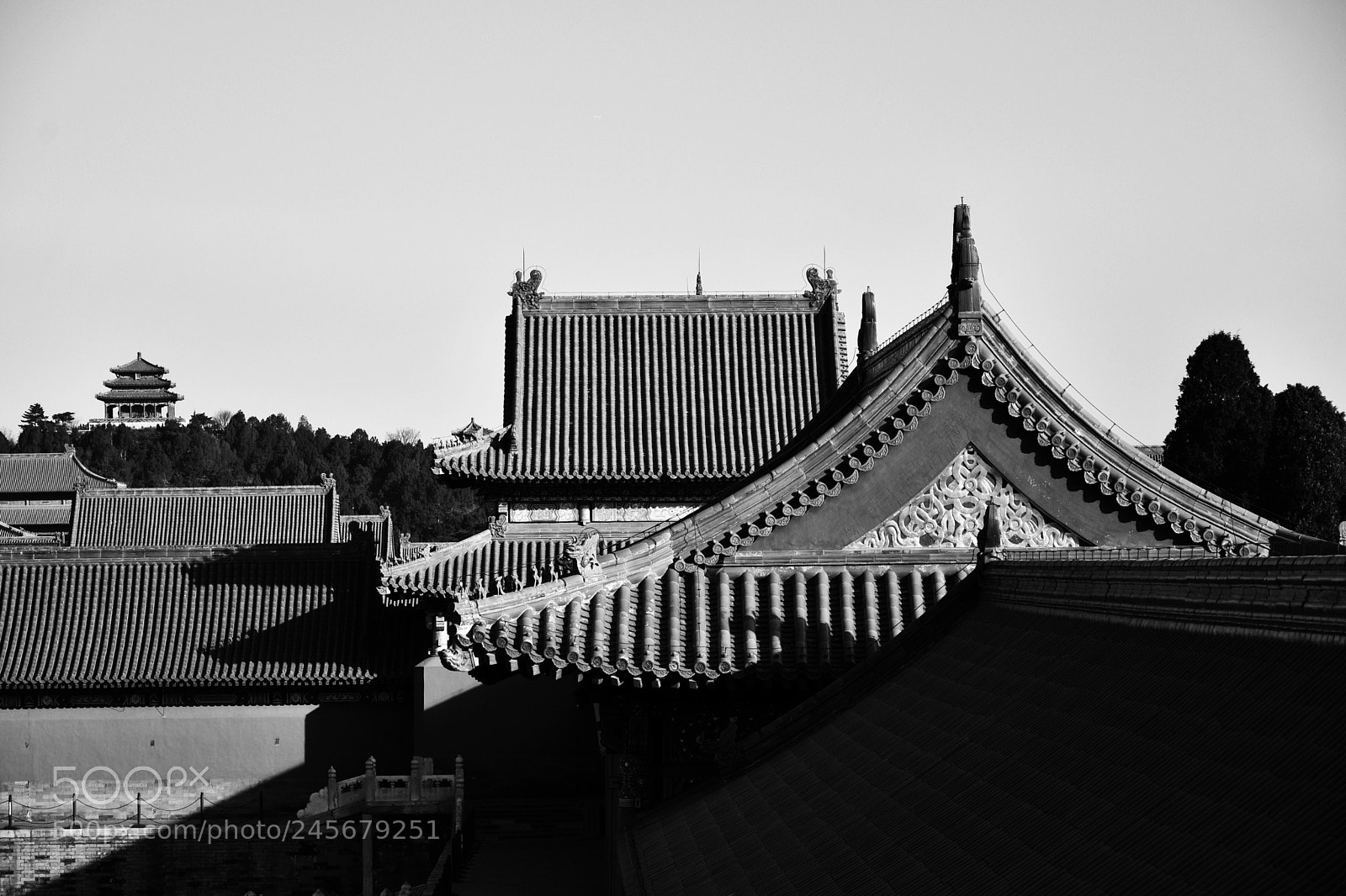 Nikon D810 sample photo. Untitled photography