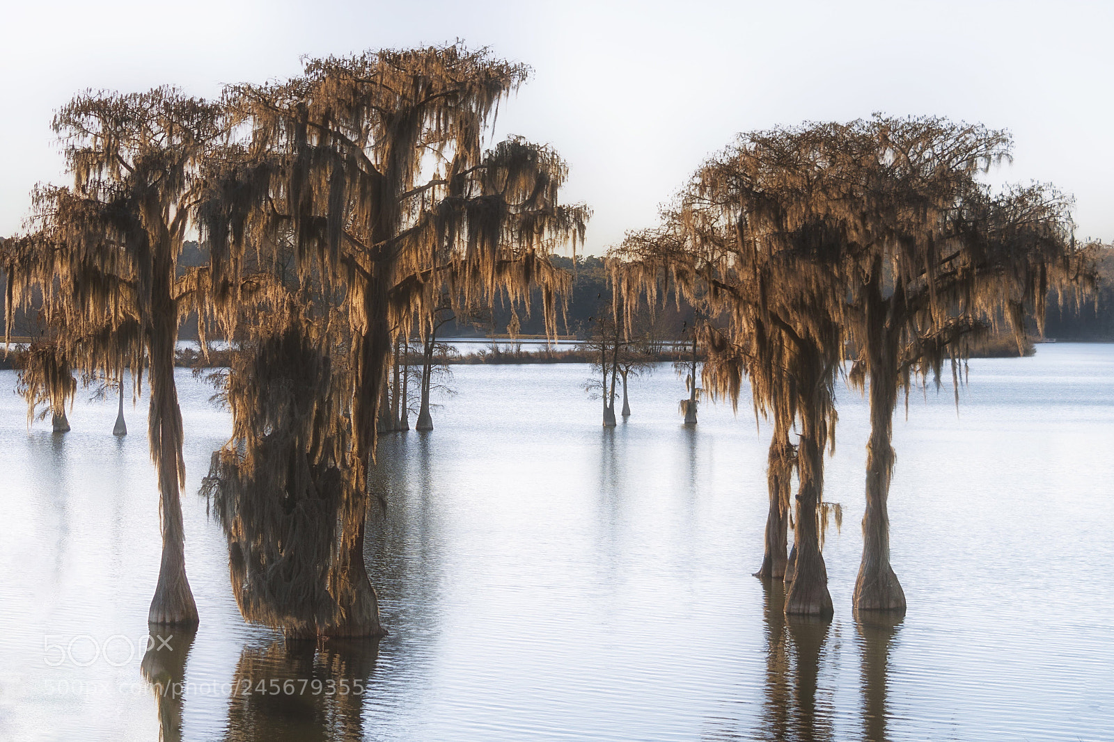 Sony a6500 sample photo. Piney z lake photography
