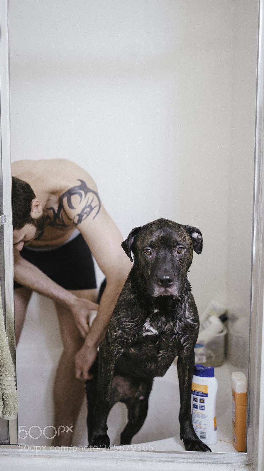 Sony a7R II sample photo. Boomer takes a bath photography
