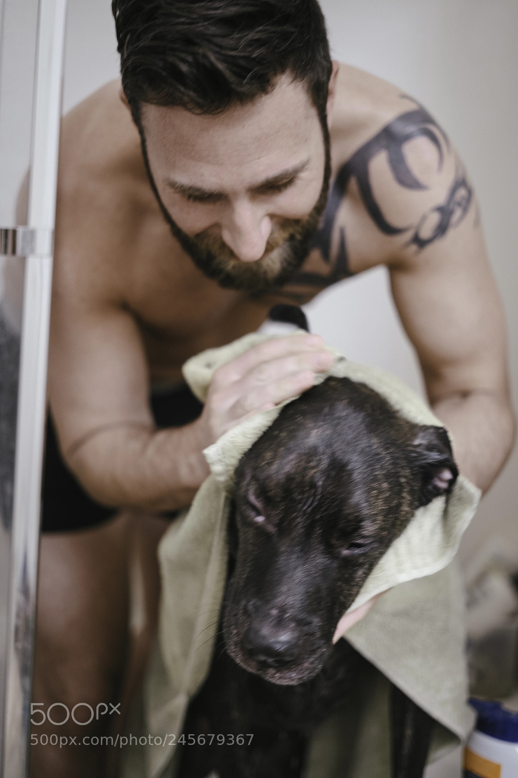 Sony a7R II sample photo. Boomer takes a bath photography