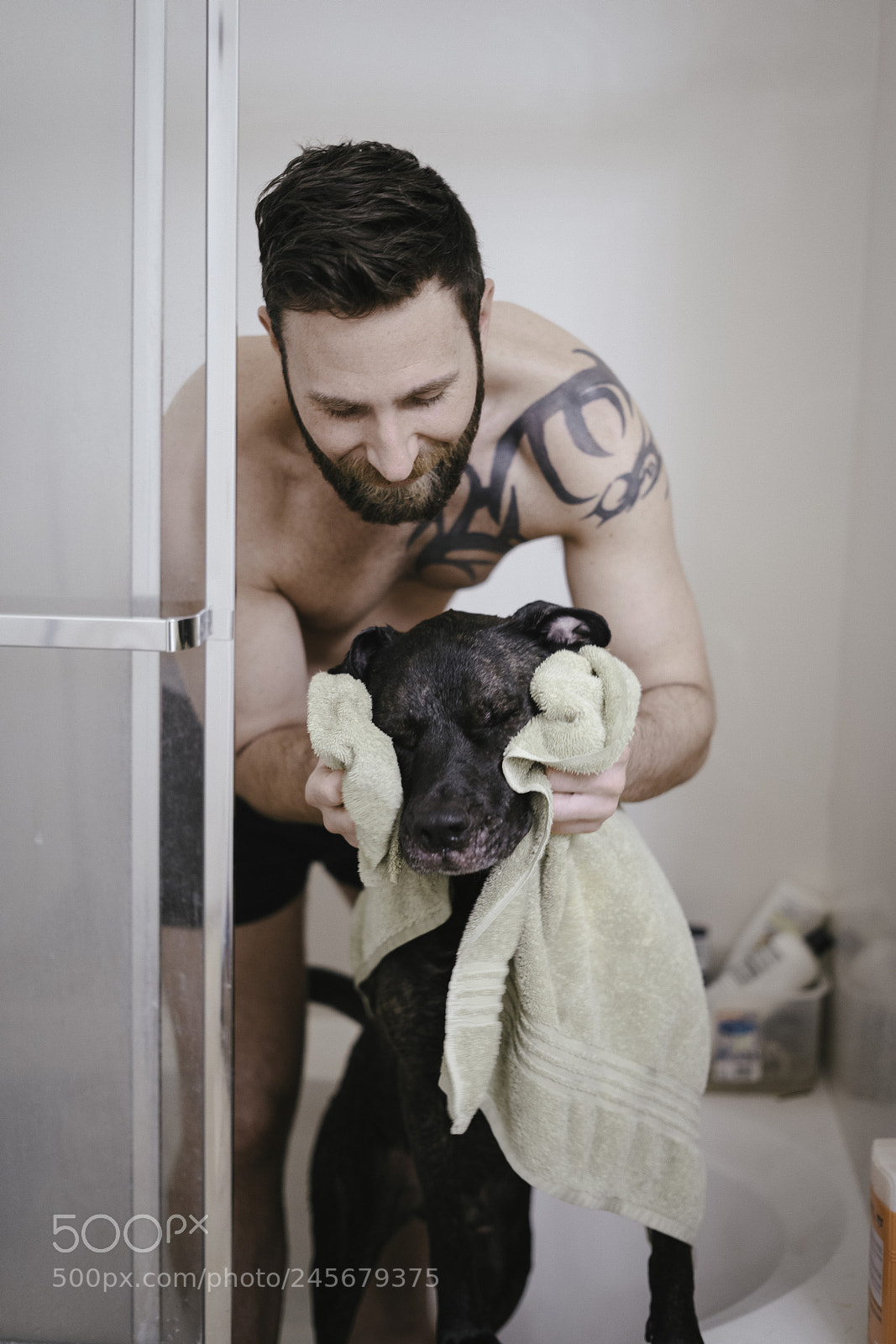 Sony a7R II sample photo. Boomer takes a bath photography