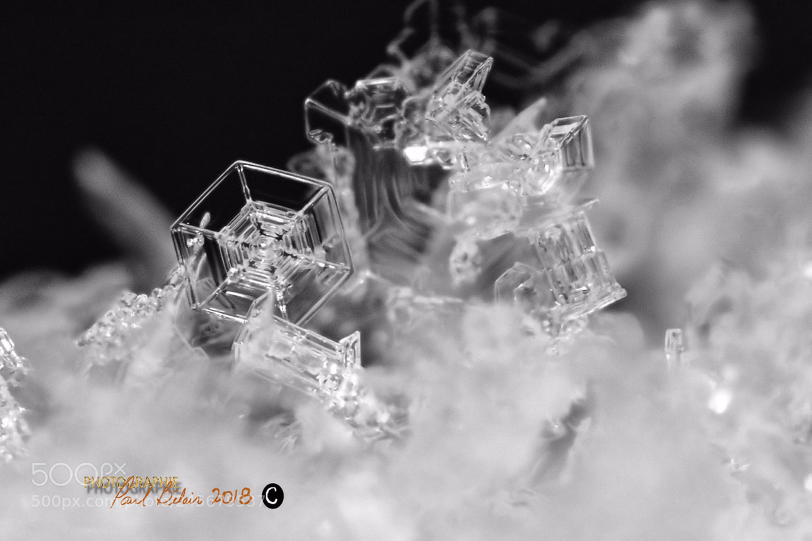 Nikon D7100 sample photo. Hexagone parfait... photography