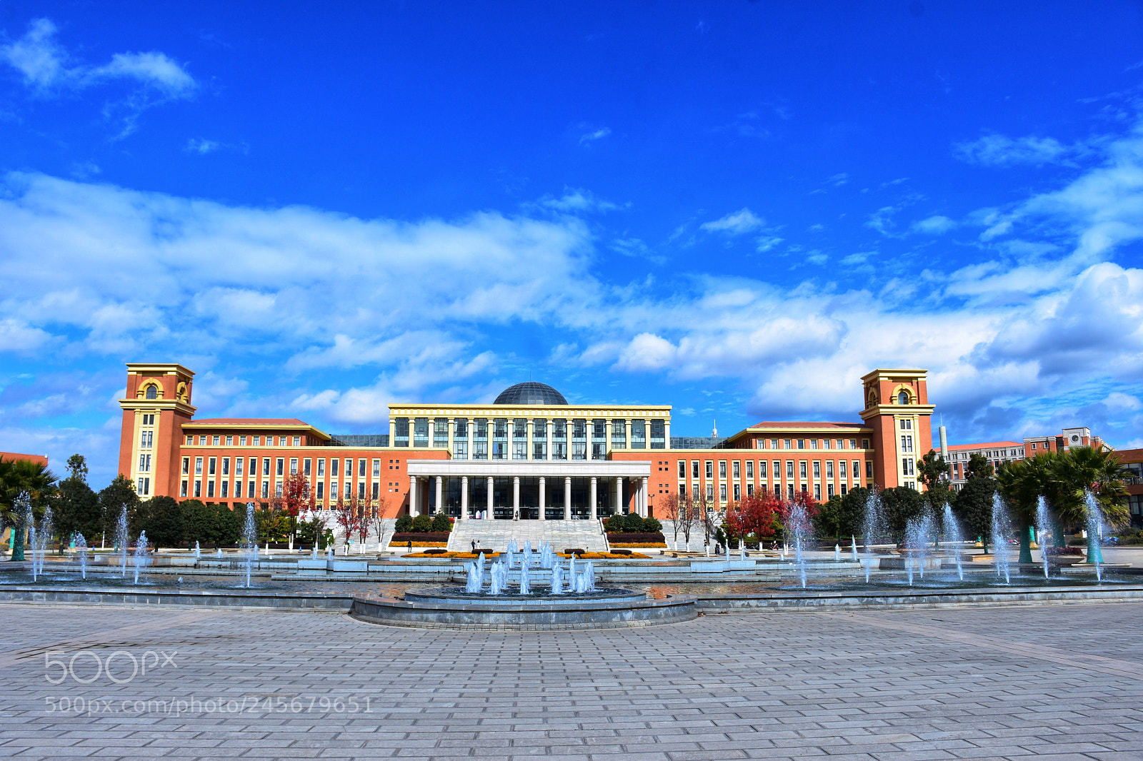 Nikon D7200 sample photo. Library of ynu photography