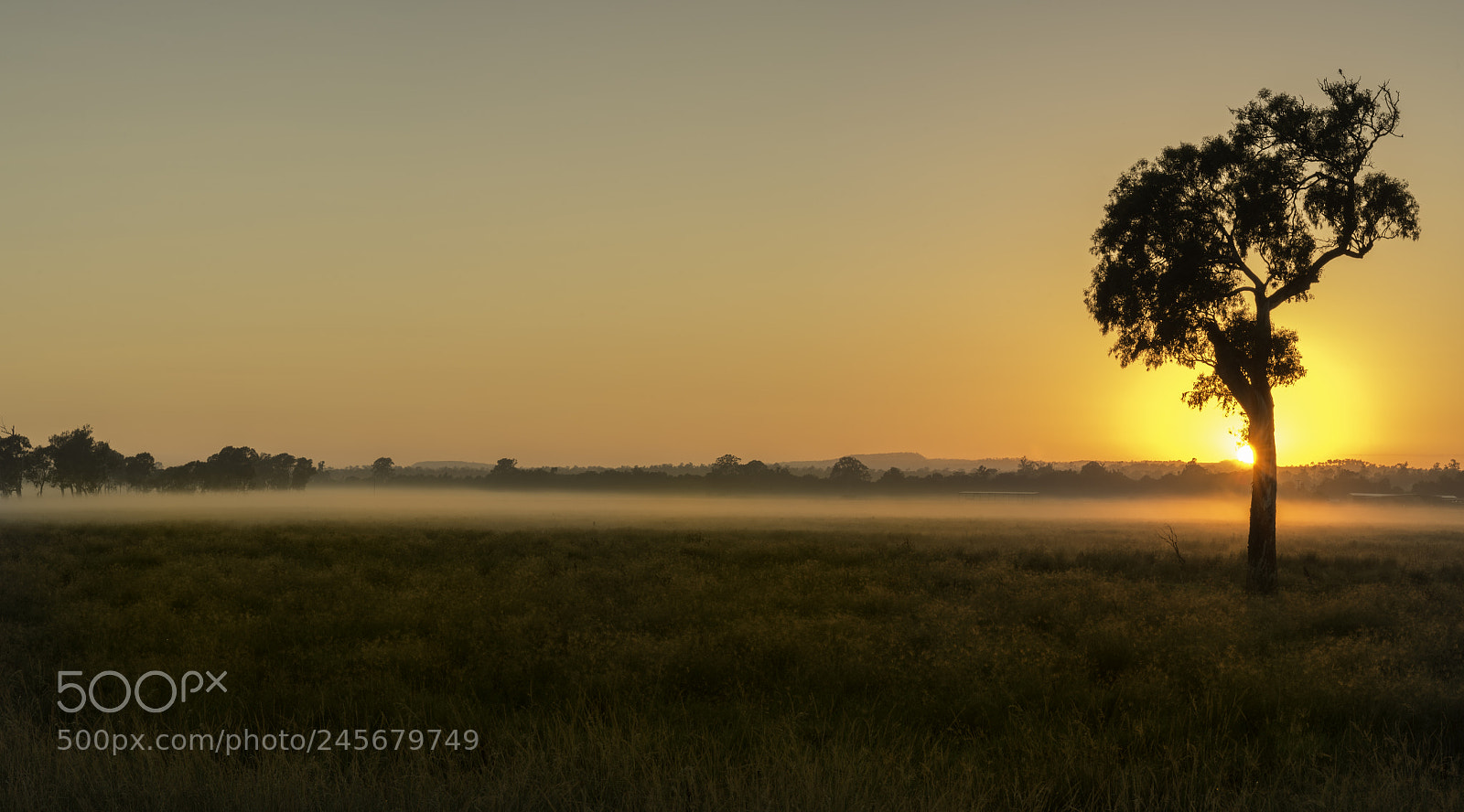 Nikon D7100 sample photo. Yamanto sunrise photography