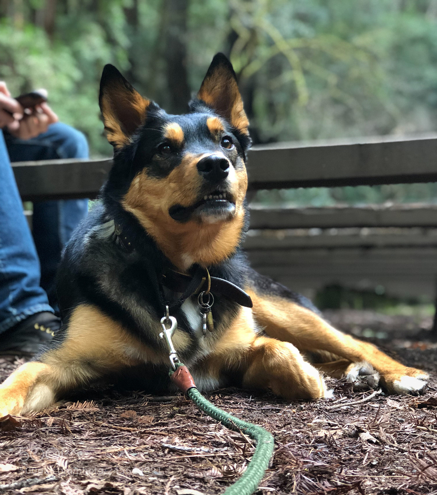 Apple iPhone 8 Plus sample photo. Hiking photography