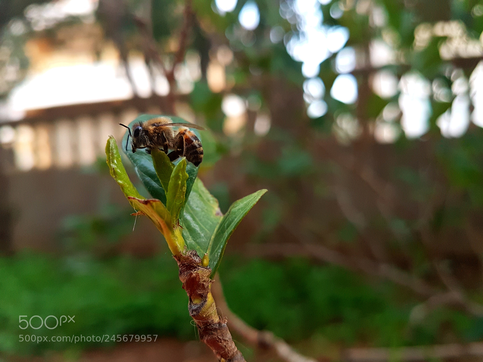 Samsung Galaxy S7 sample photo. Untitled photography