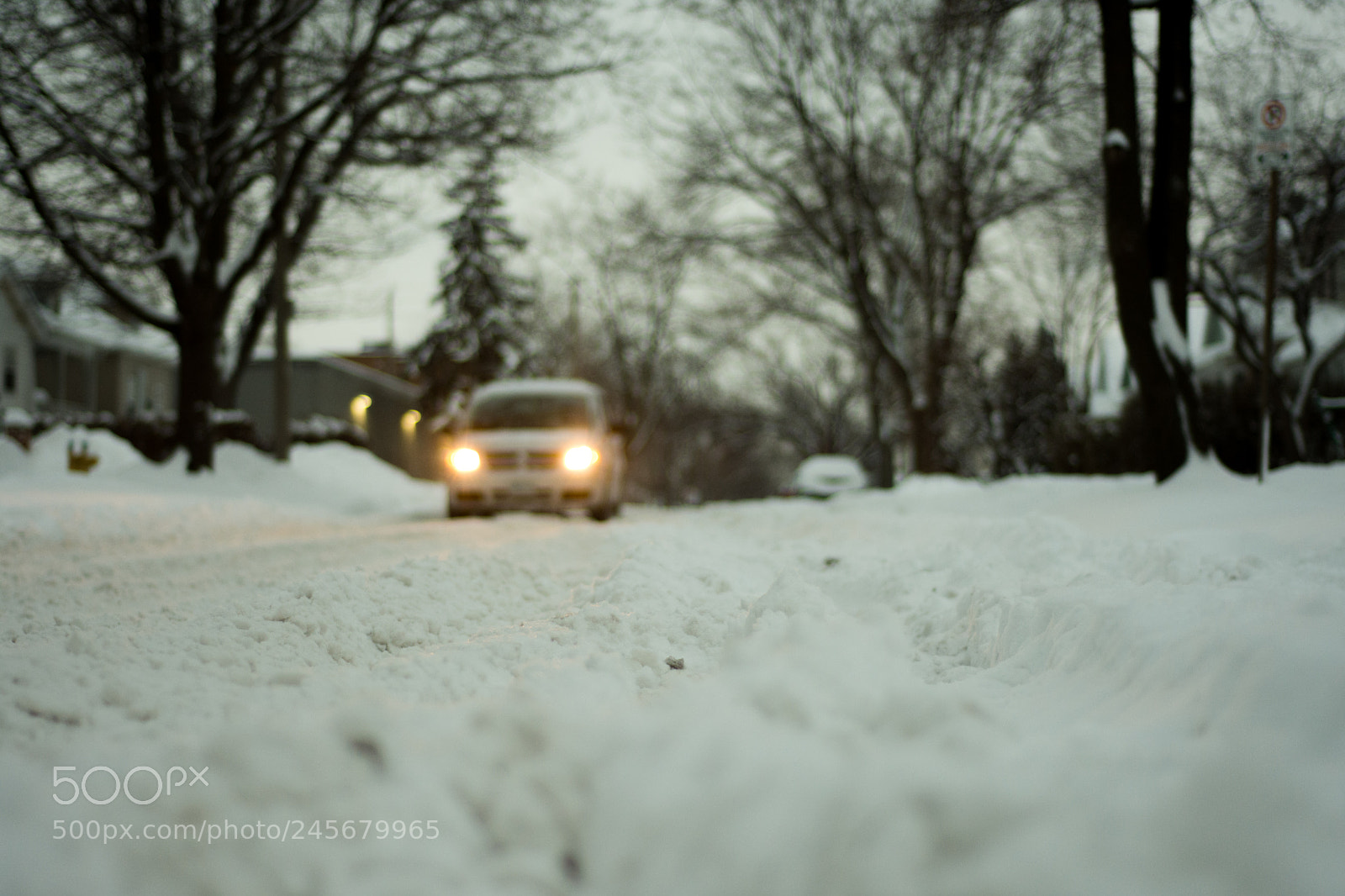 Nikon D7200 sample photo. Untitled photography
