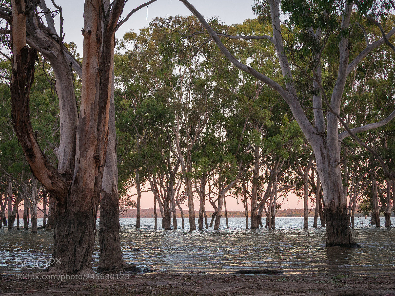 Nikon D7200 sample photo. Lake glenmaggie photography