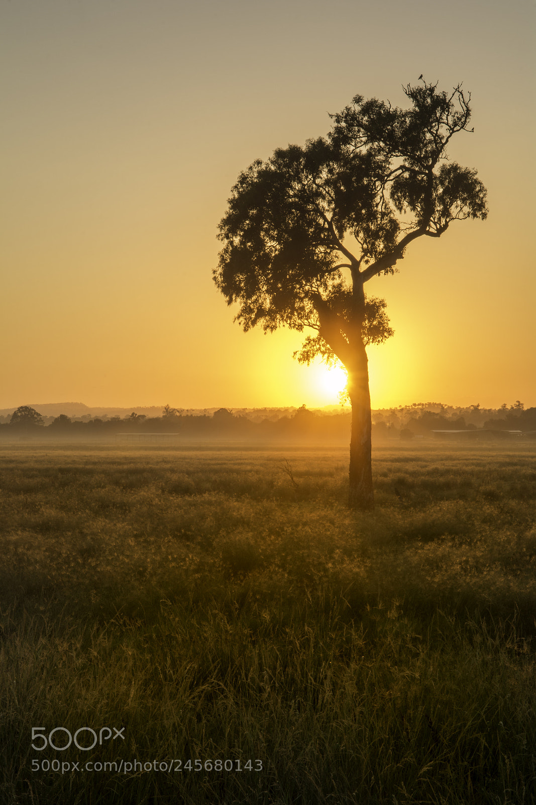 Nikon D7100 sample photo. Golden hour photography