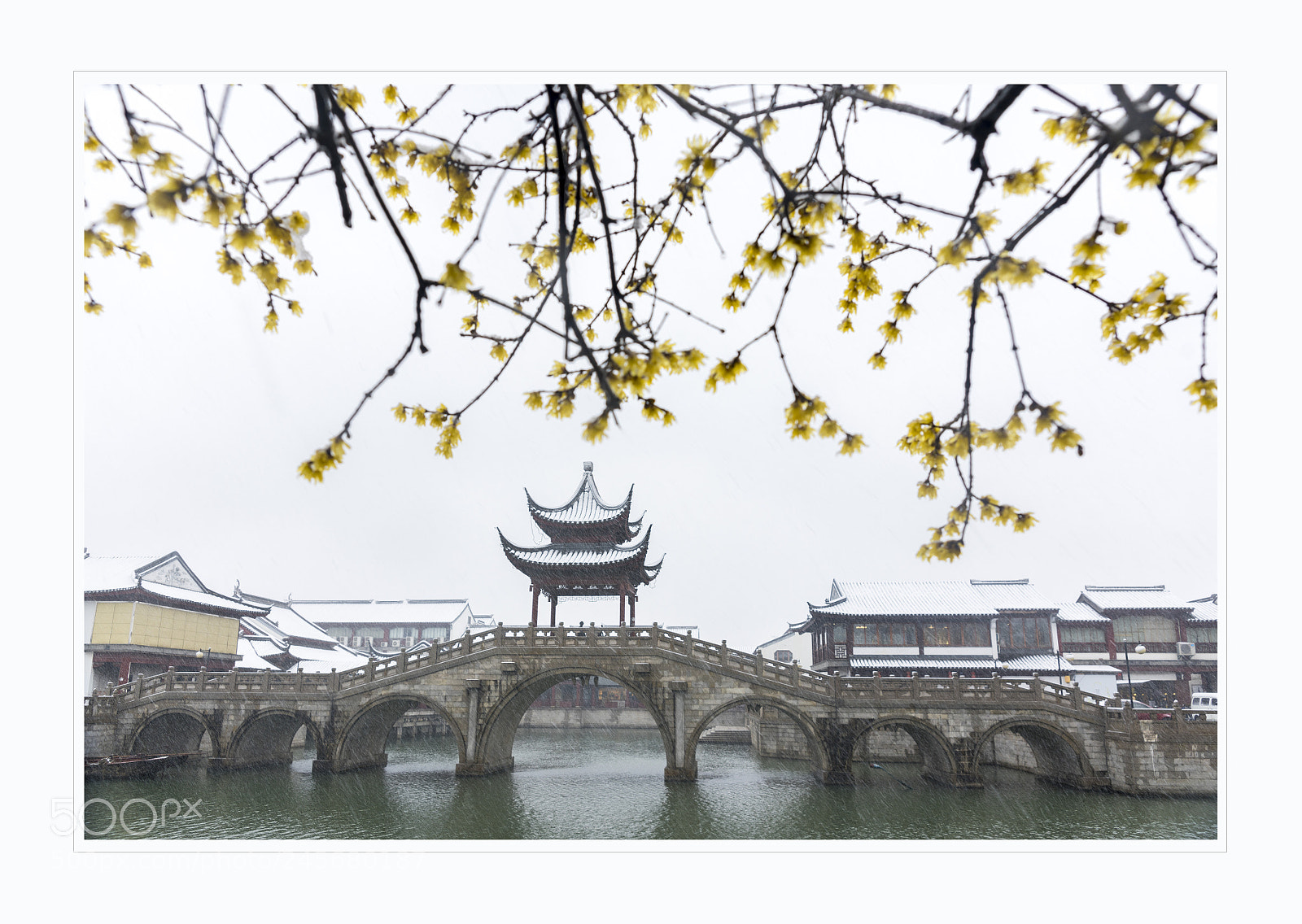 Sony a99 II sample photo. 蜡梅浴雪山塘河 photography