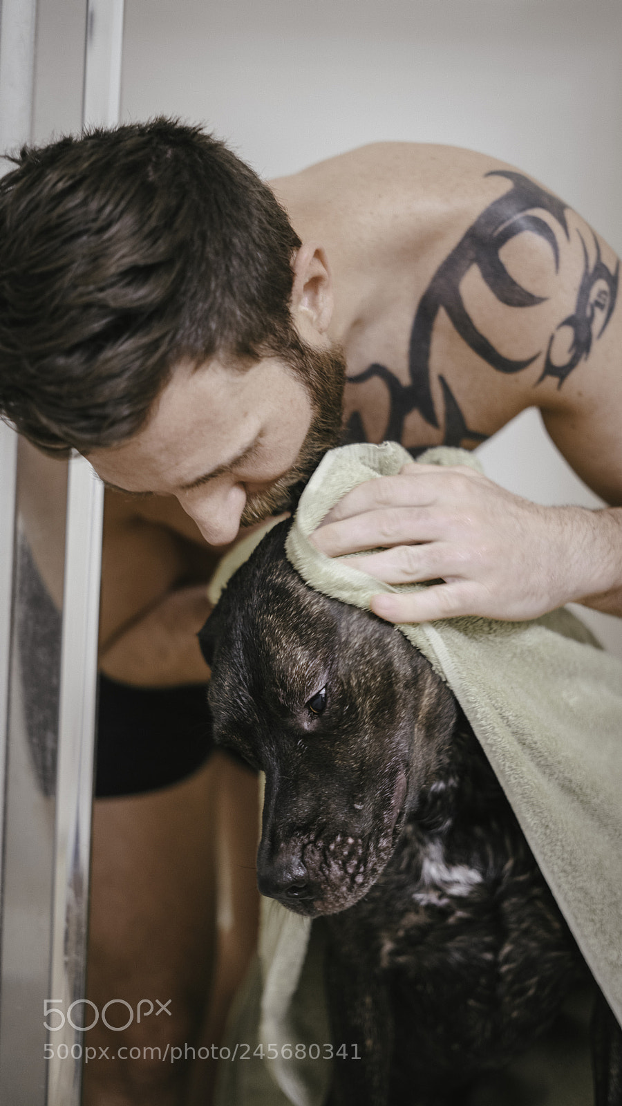 Sony a7R II sample photo. Boomer takes a bath photography