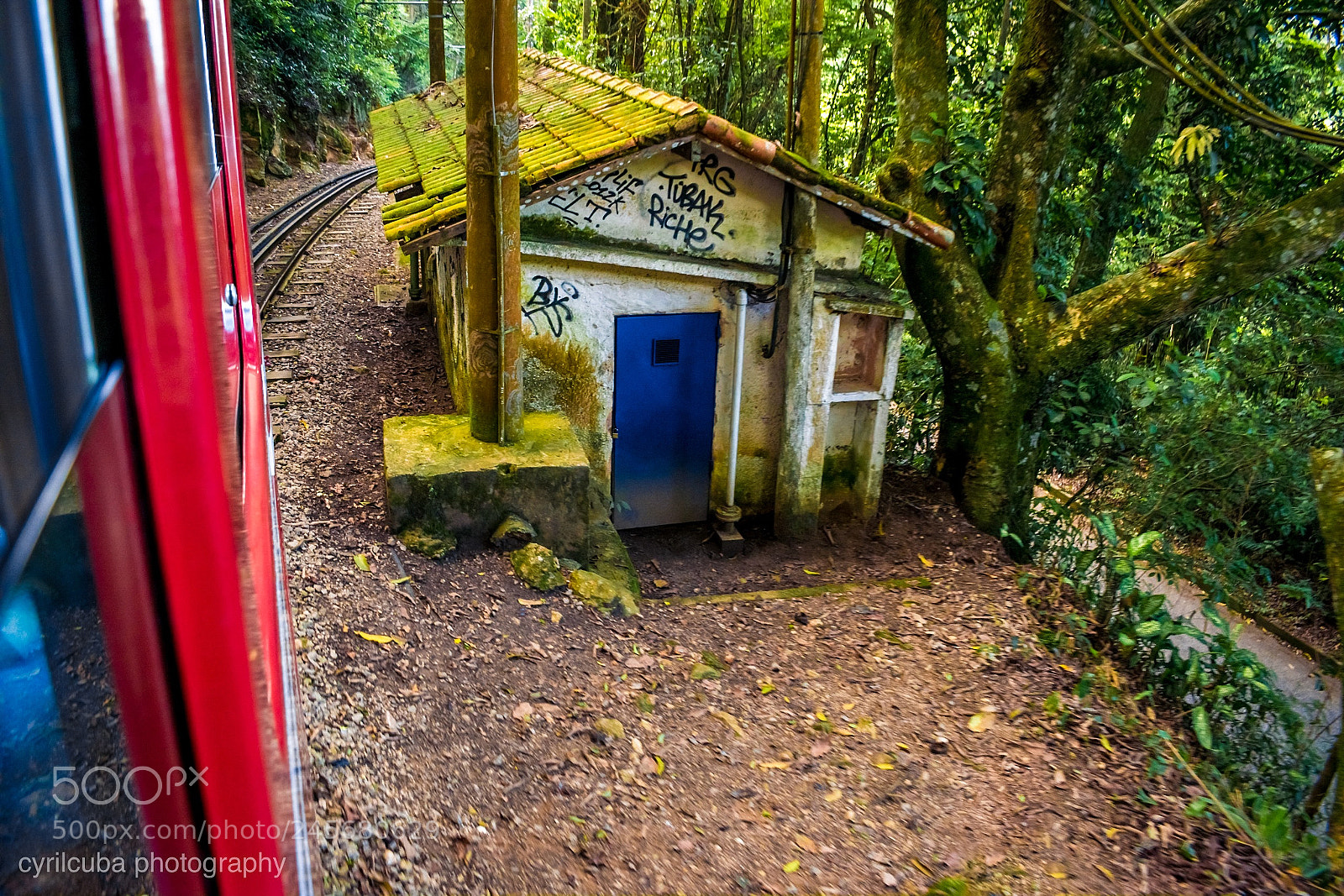 Nikon D5500 sample photo. Brazil jungle house photography