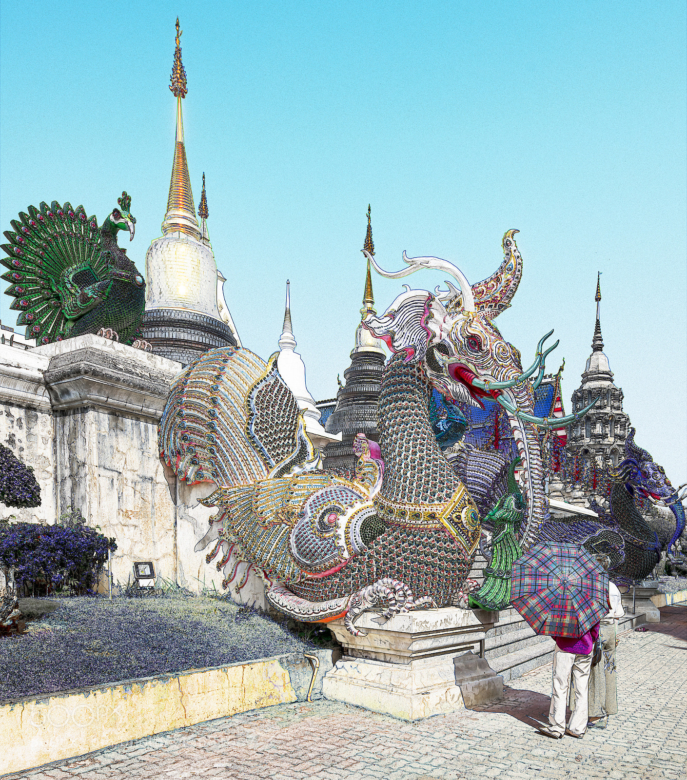Nikon D850 sample photo. Image photography