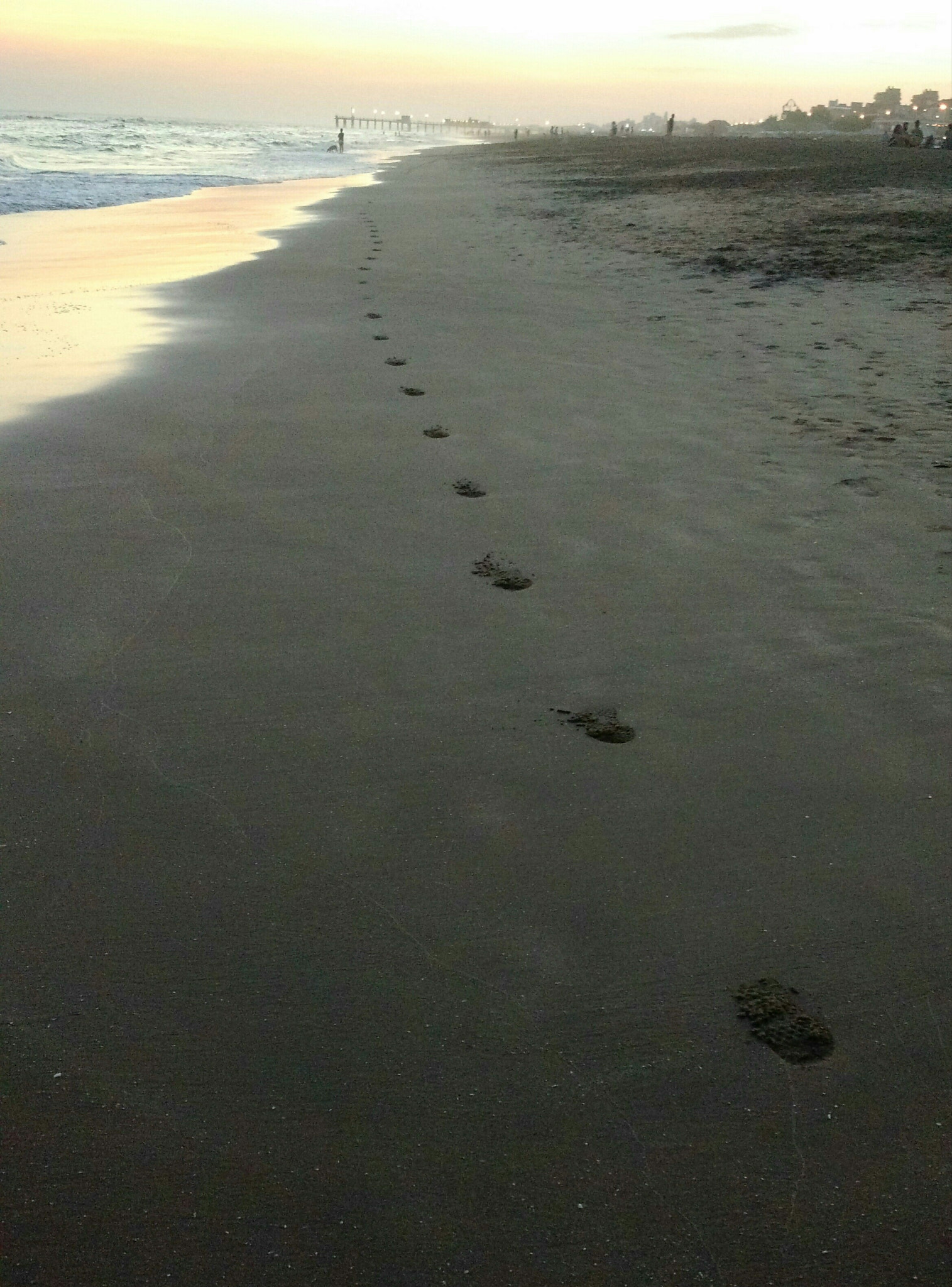 Motorola Moto X (2nd Gen) sample photo