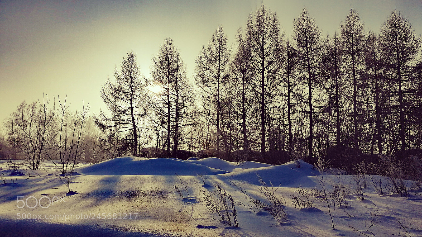HUAWEI Honor 9 sample photo. Morning photography