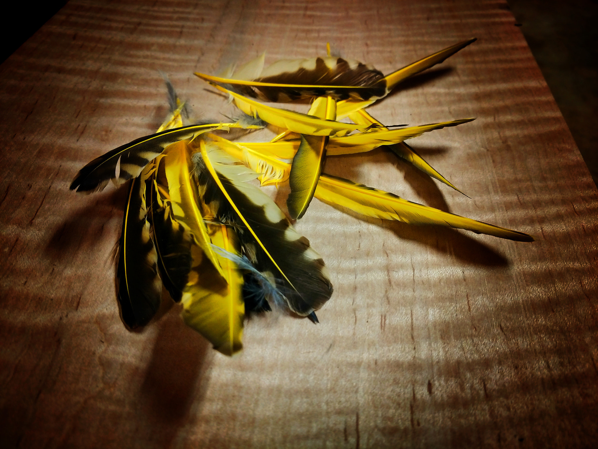 Motorola XT1650 sample photo. Brilliant color in creation photography