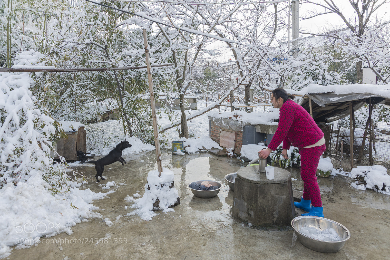 Sony a99 II sample photo. 冬日农家小院 photography