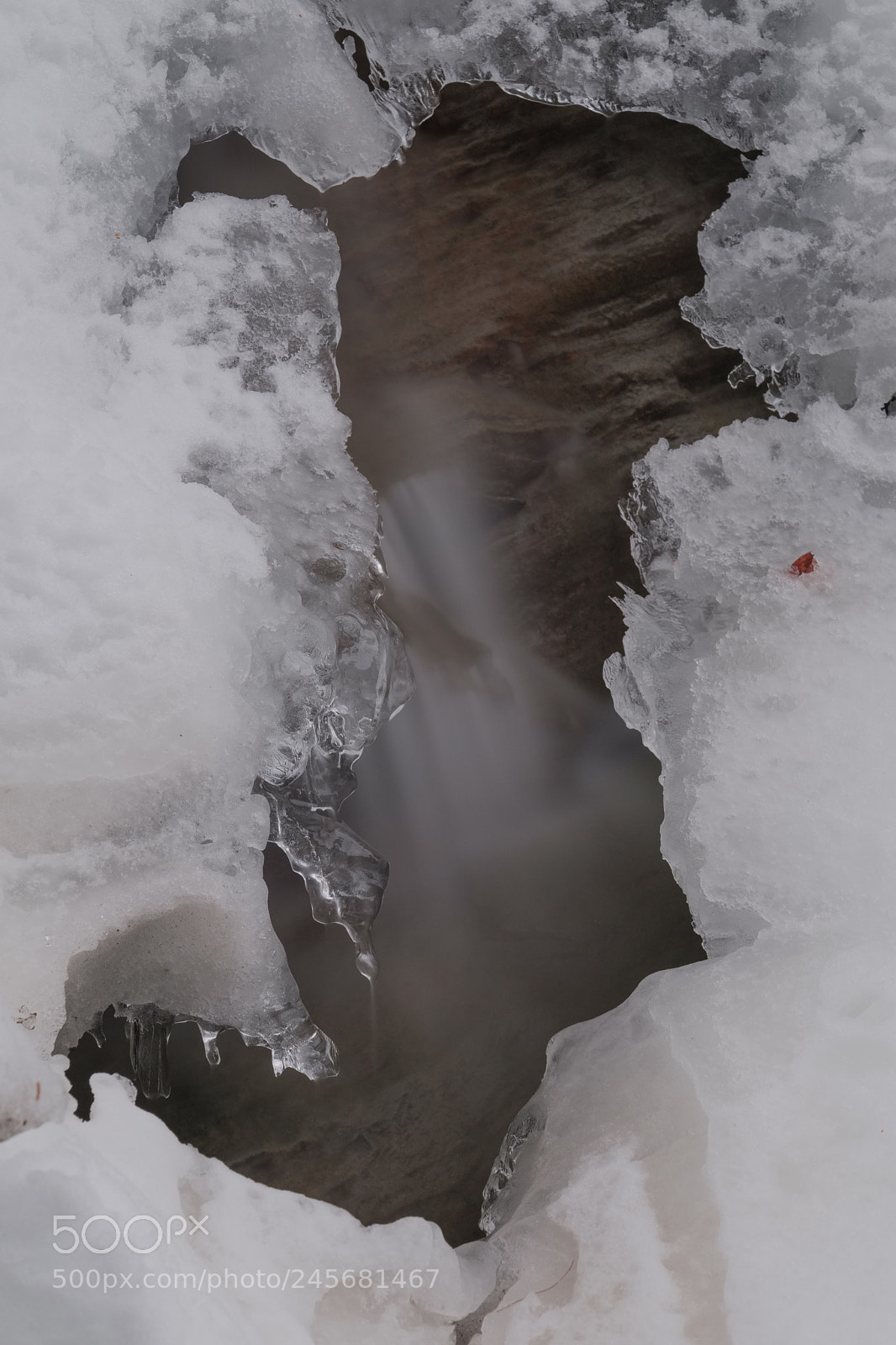 Fujifilm X-Pro2 sample photo. Strawberry creek photography