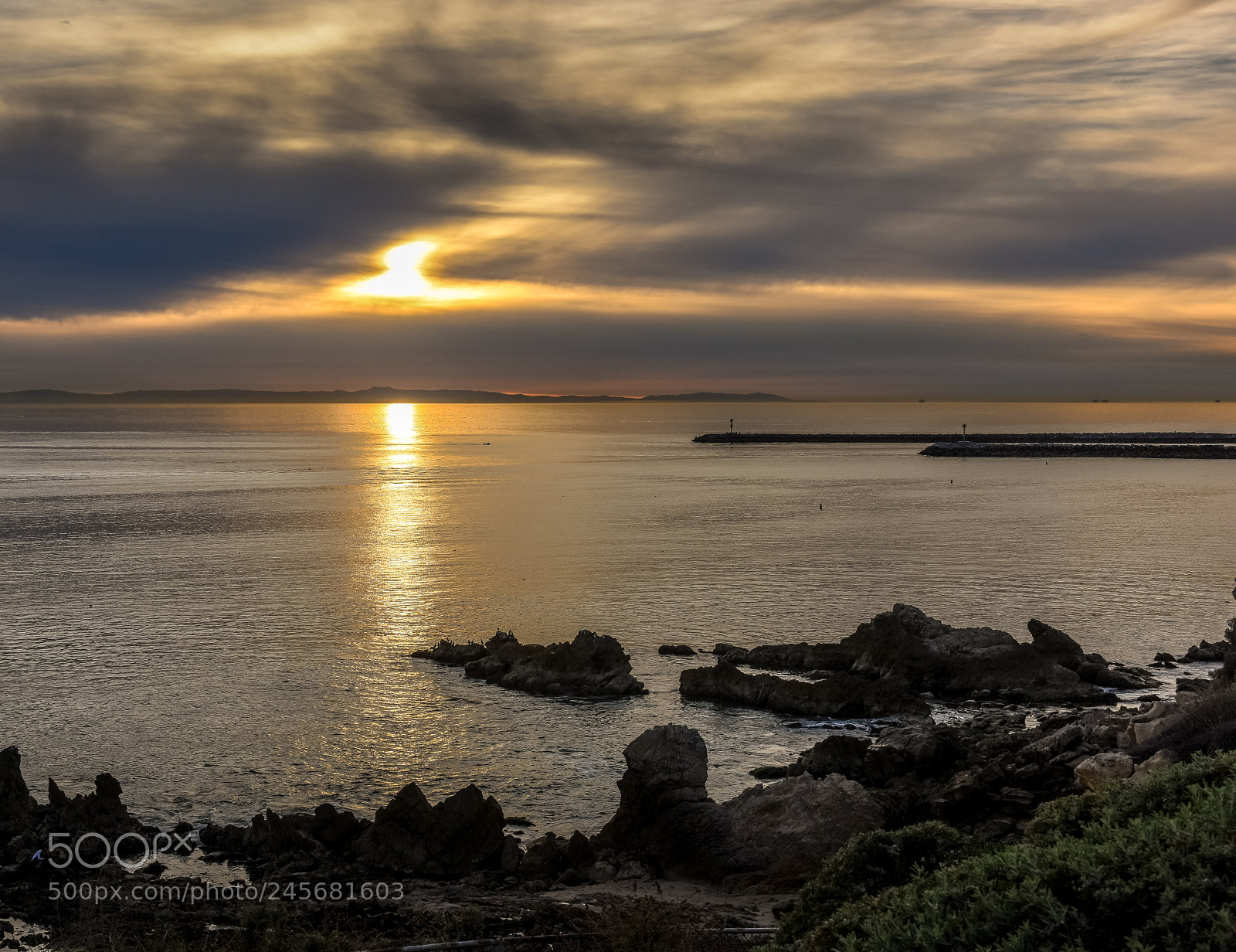 Nikon D810 sample photo. Golden highway! photography