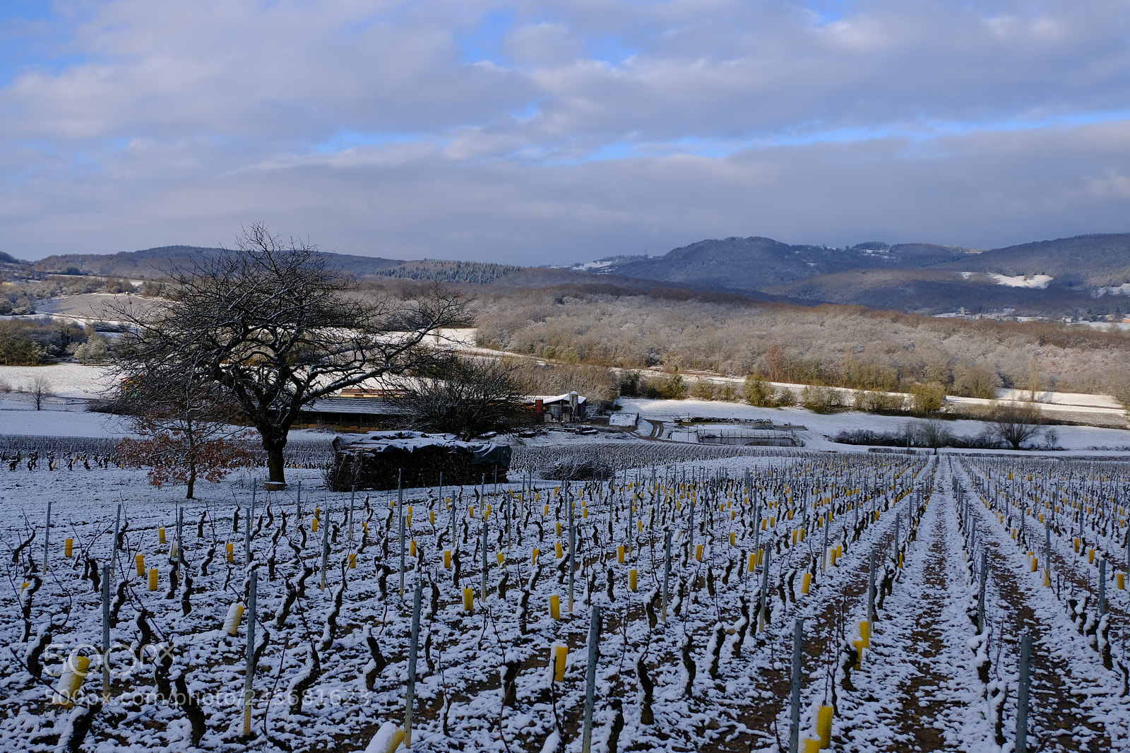 Fujifilm X-T20 sample photo. Vall e des vaux photography