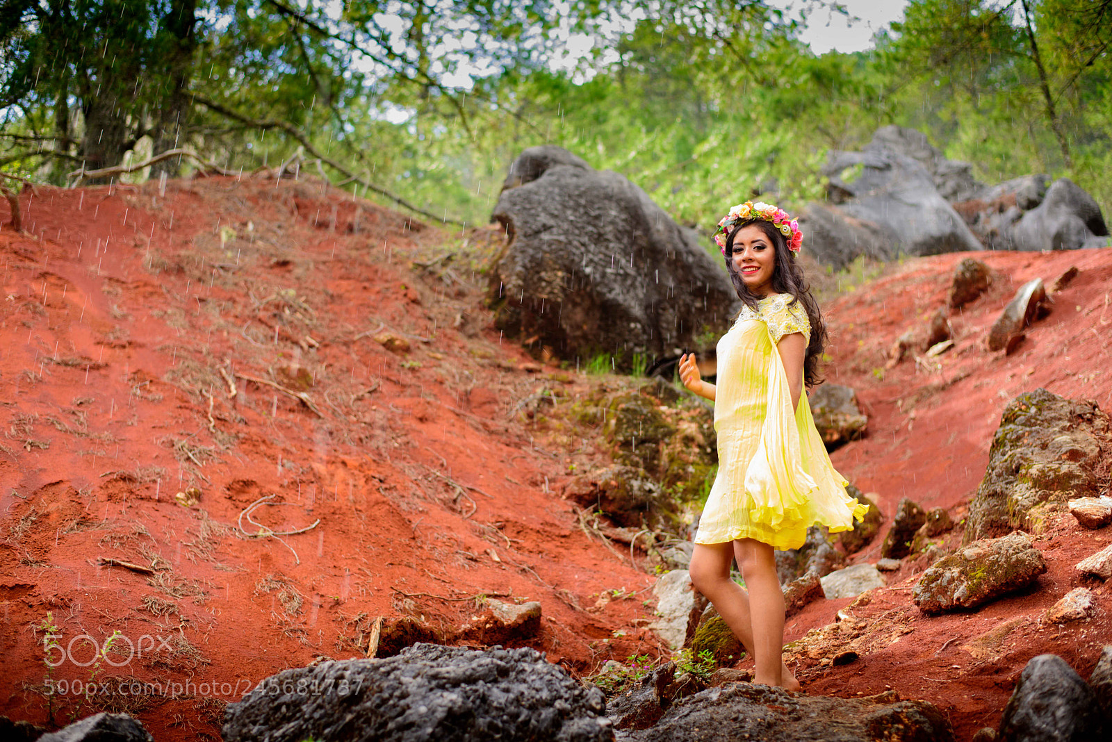 Nikon D810 sample photo. Yellow photography