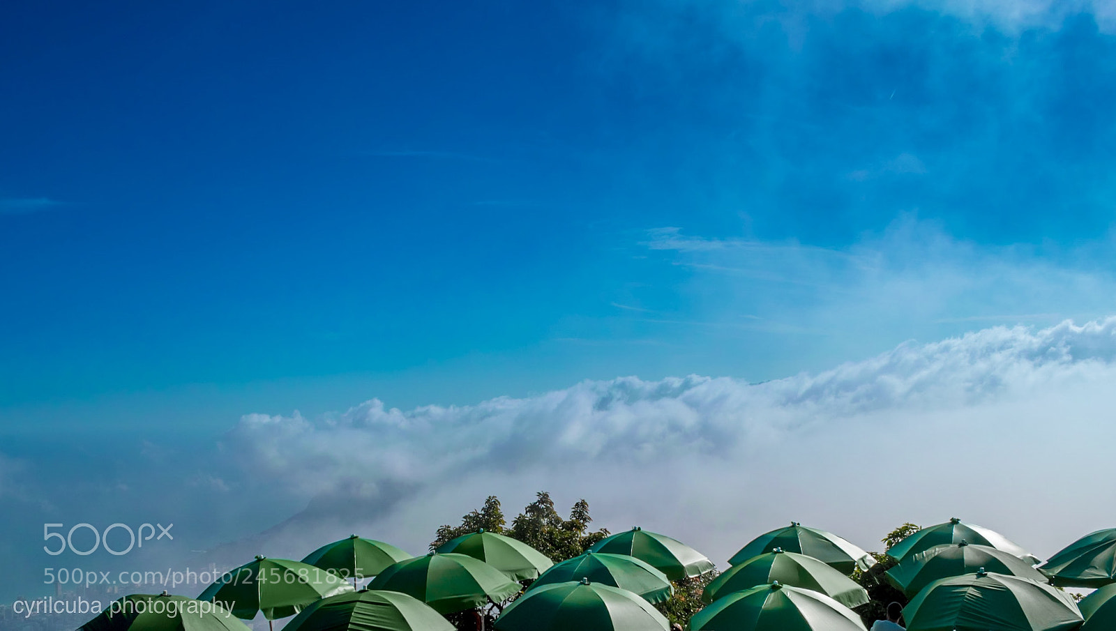 Nikon D5500 sample photo. On the clouds photography