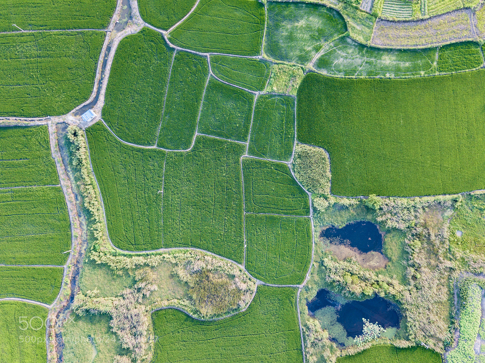 DJI FC220 sample photo. Dji photography