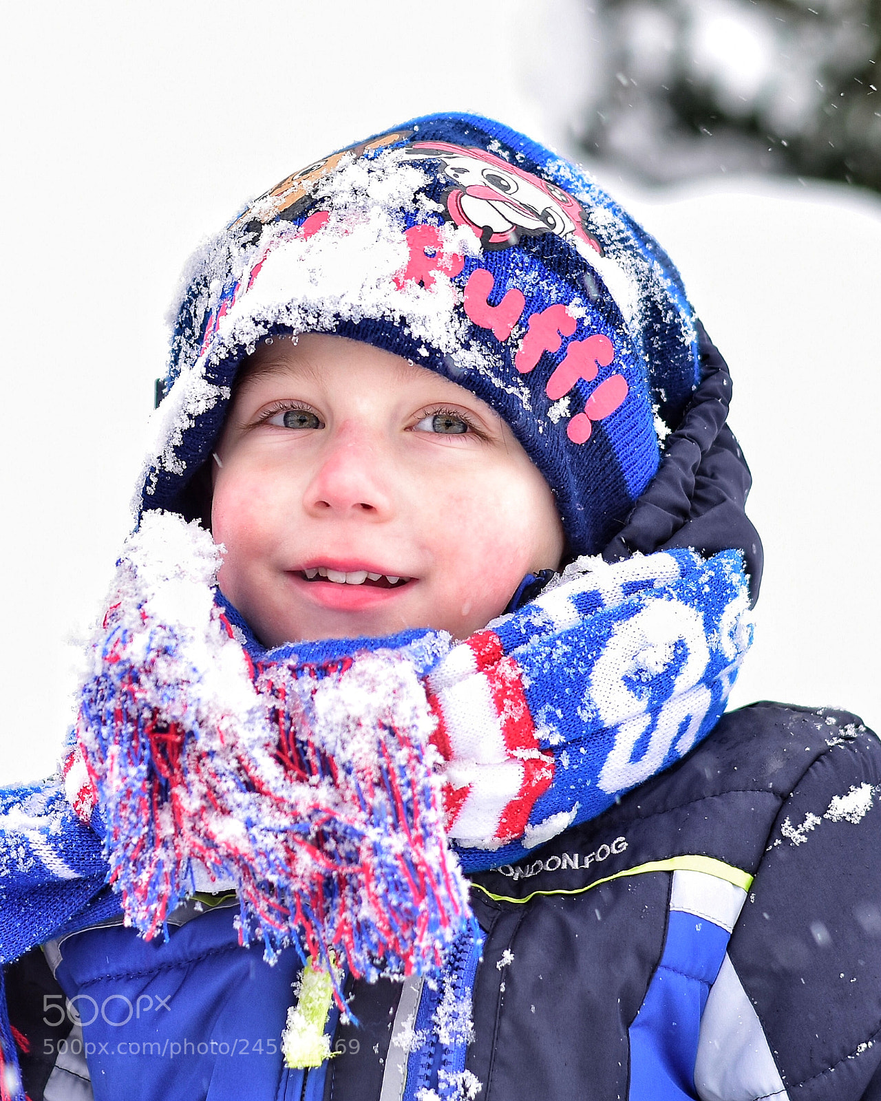 Nikon D5600 sample photo. Fun in the snow photography