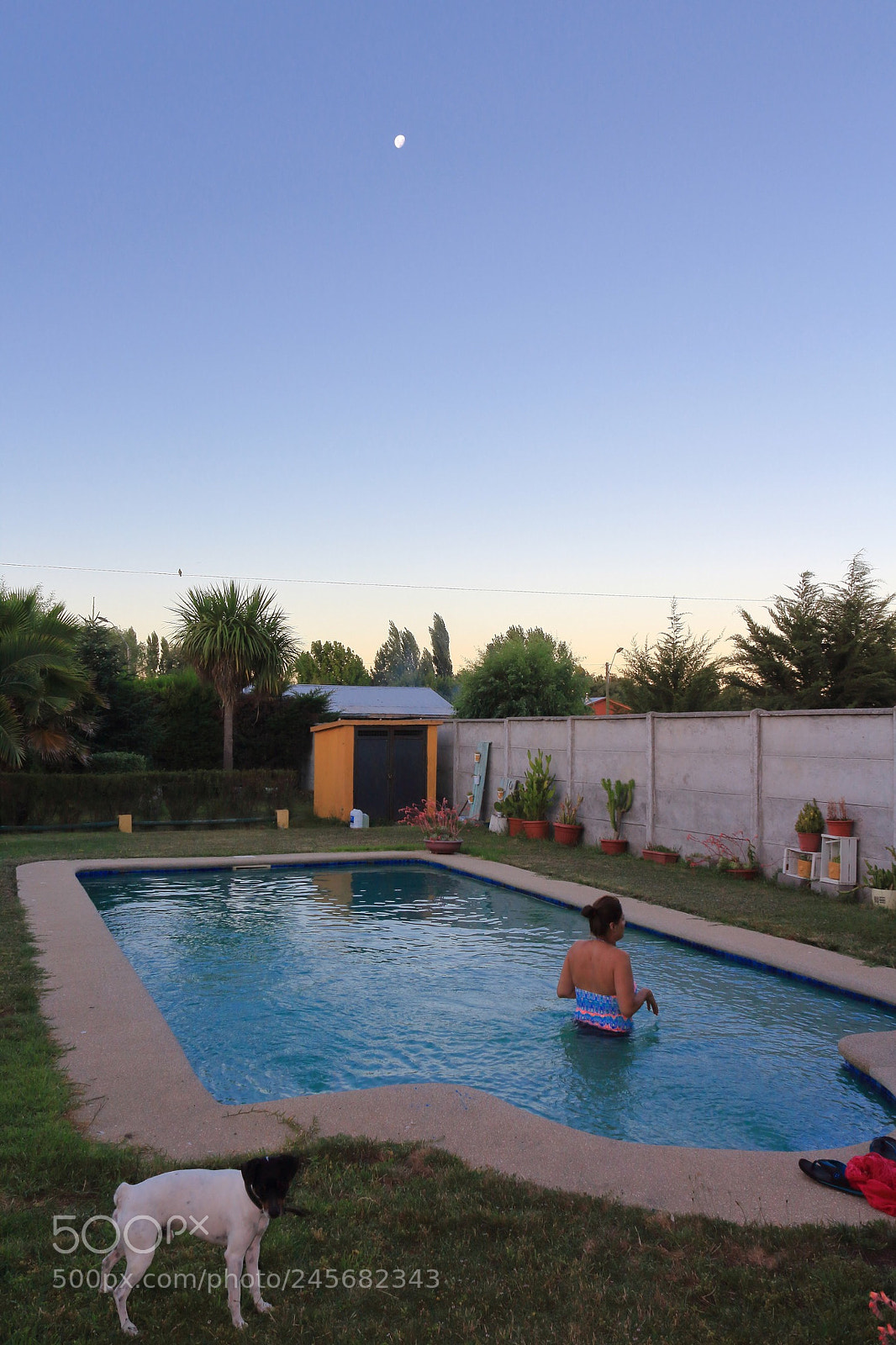 Canon EOS 1200D (EOS Rebel T5 / EOS Kiss X70 / EOS Hi) sample photo. That familiar pool photography