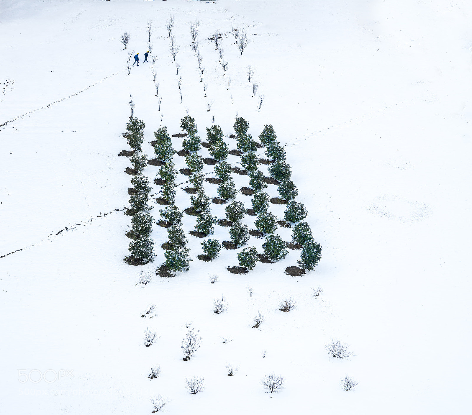 Sony a99 II sample photo. 雪后的厂区 photography