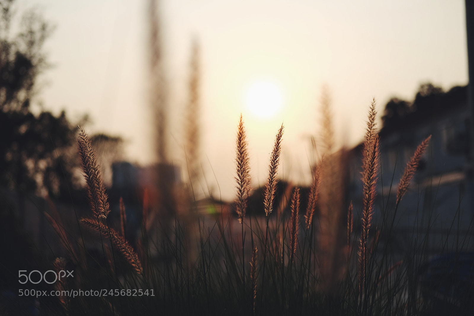 Fujifilm X-T10 sample photo. Sunset photography