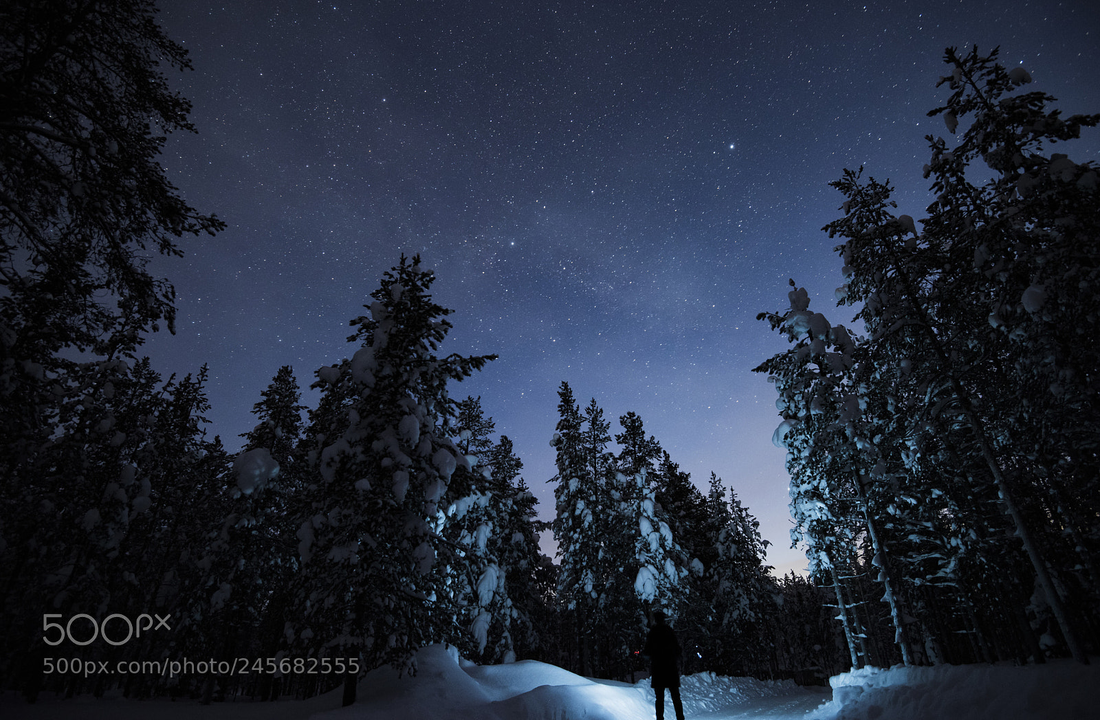 Nikon D810 sample photo. Selfie in frozen winter photography