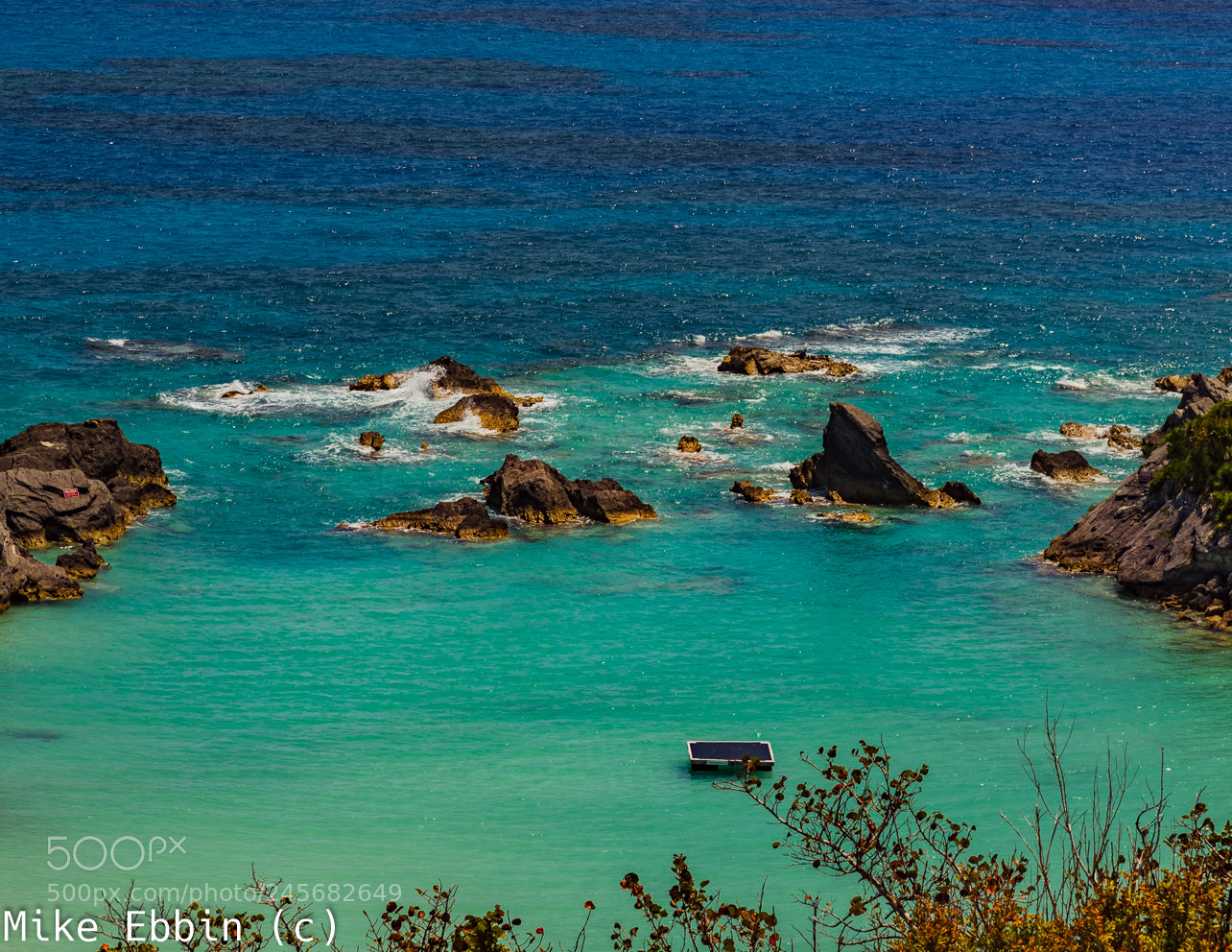 Nikon D810 sample photo. Cme photography