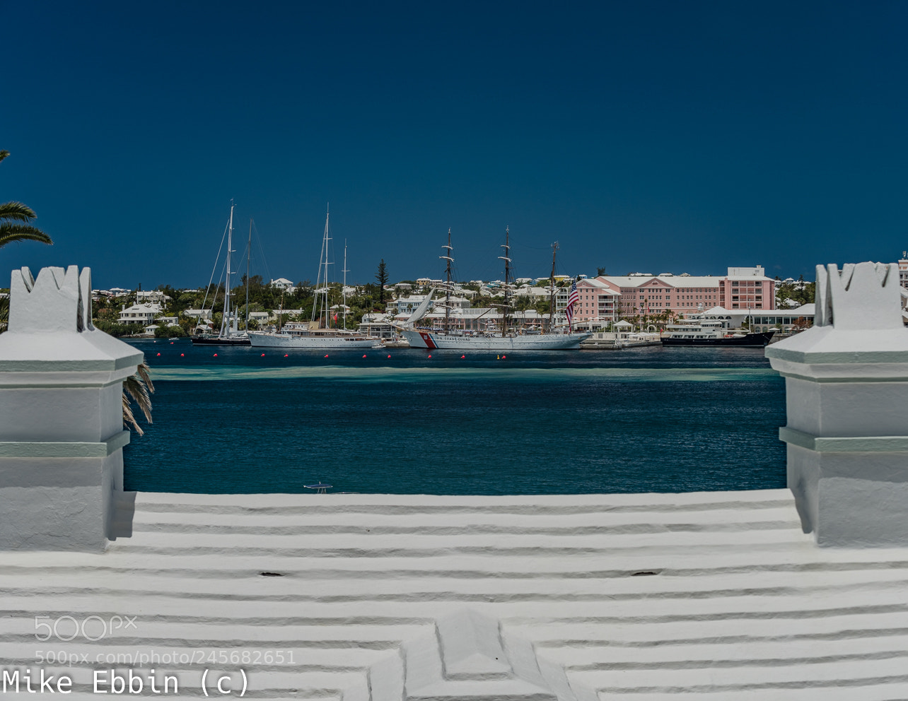 Nikon D810 sample photo. Cme photography