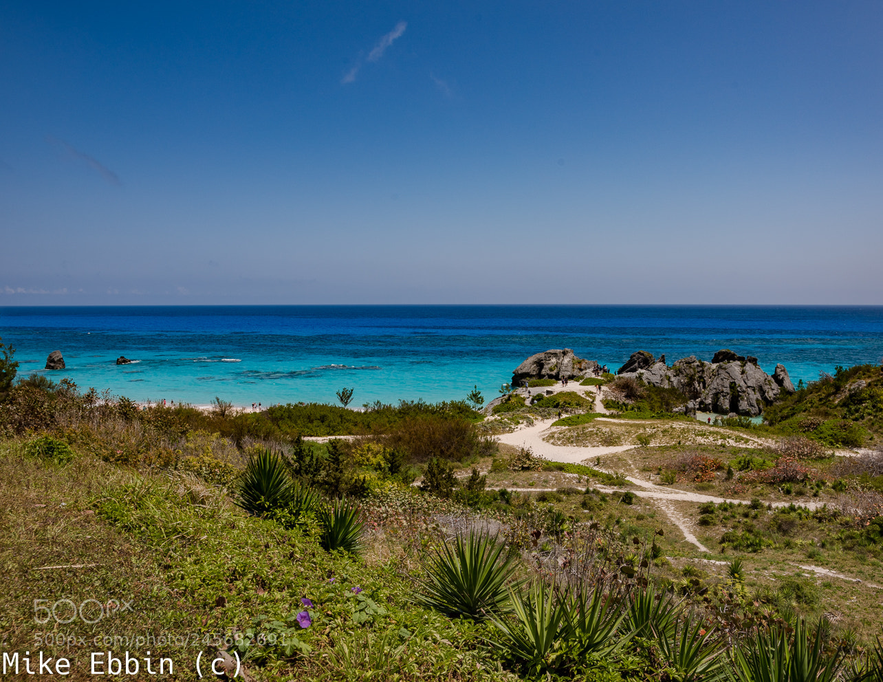 Nikon D810 sample photo. Cme photography