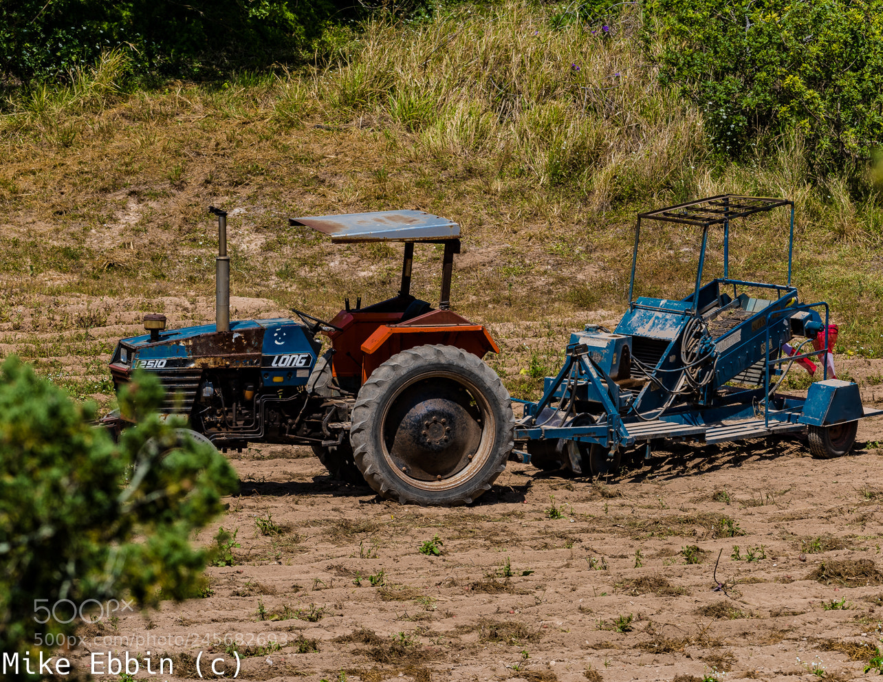 Nikon D810 sample photo. Cme photography