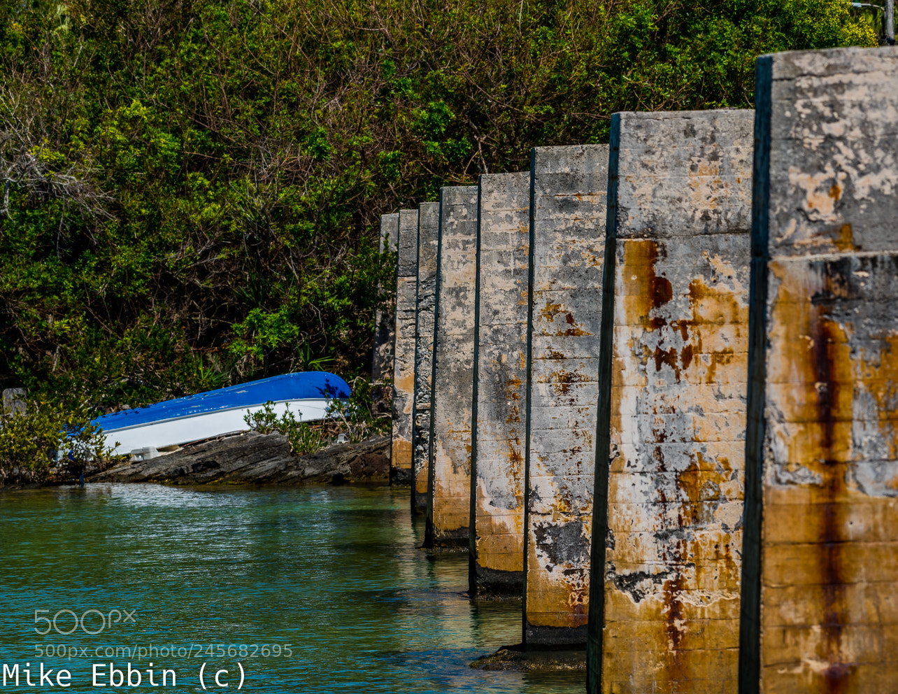 Nikon D810 sample photo. Cme photography