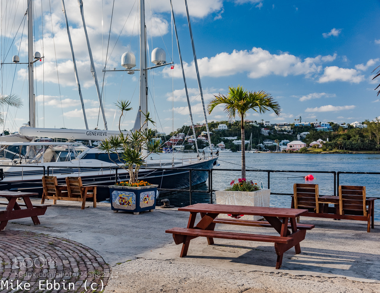 Nikon D810 sample photo. Cme photography