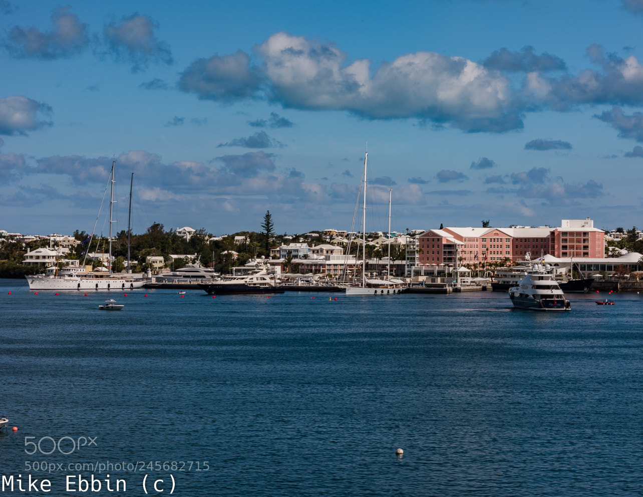 Nikon D810 sample photo. Cme photography