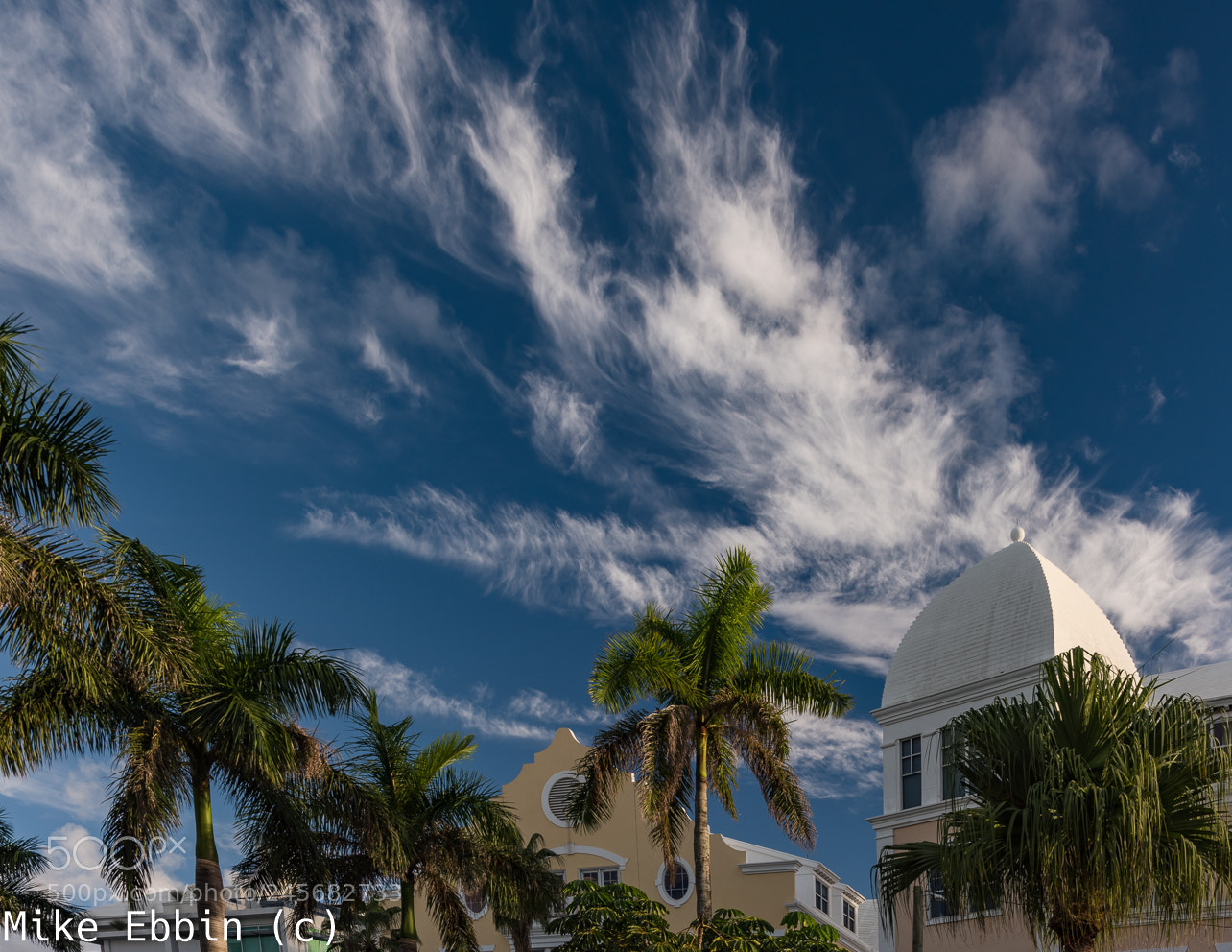 Nikon D810 sample photo. Cme photography